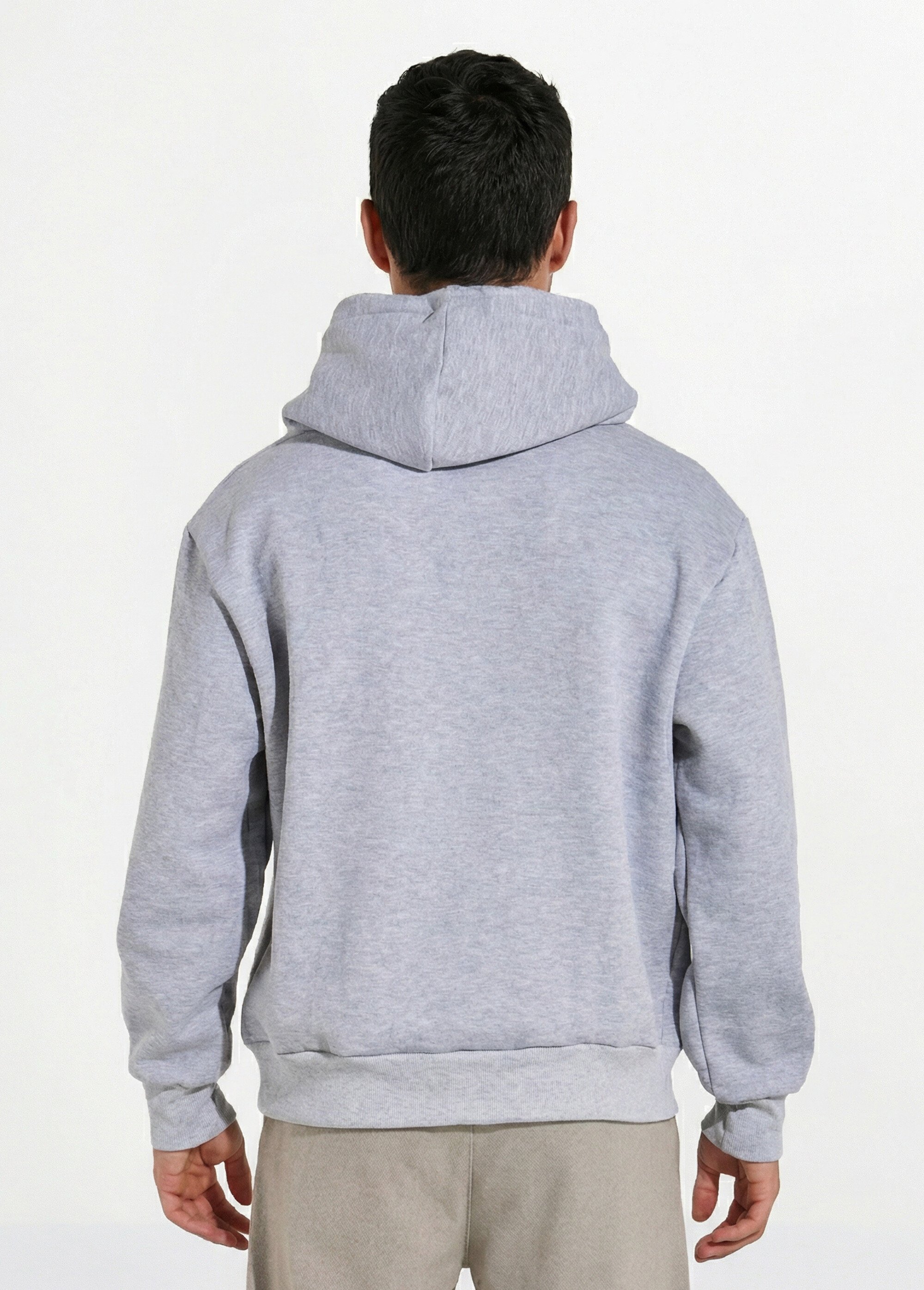 Sweat-shirt zippé molletonné à capuche Gris FRIOT53B DO1