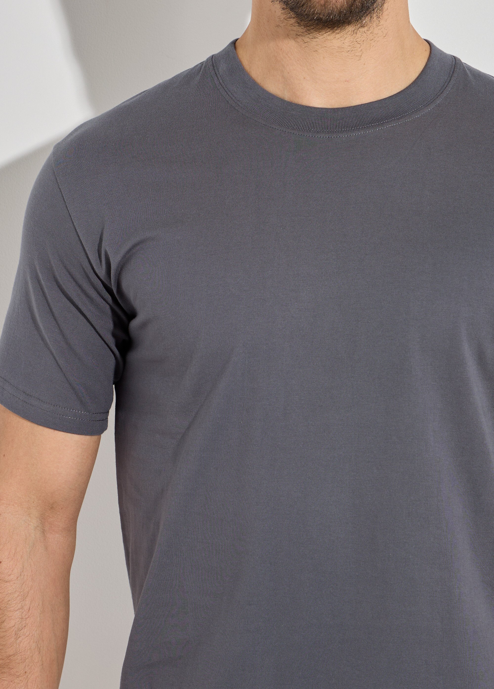 T-shirt pur coton avec col rond, Essentiel Homme Gris FRIBM1679 DE1