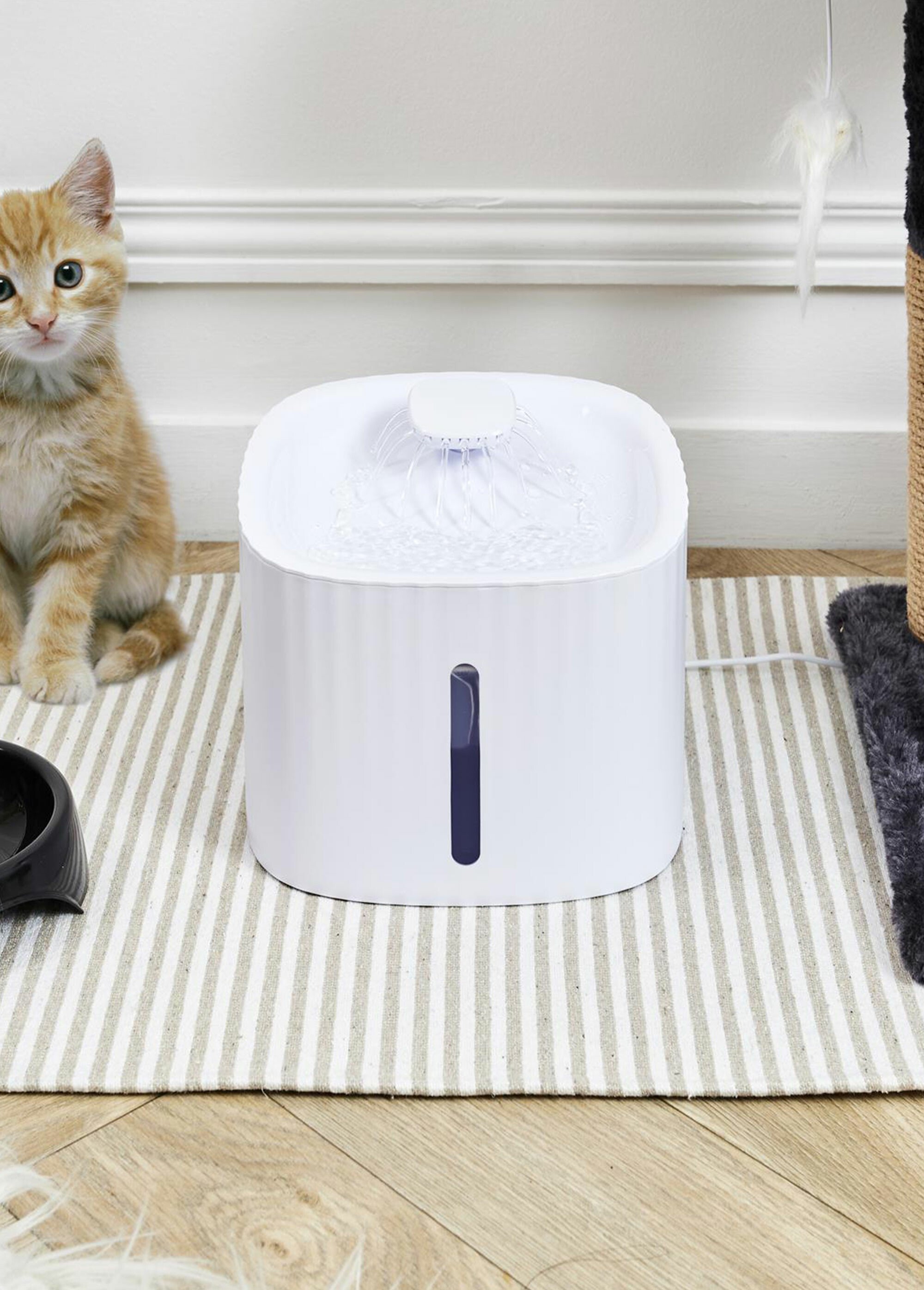 Distributeur fontaine à eau  automatique BLANC CMP-AN5252 SI1