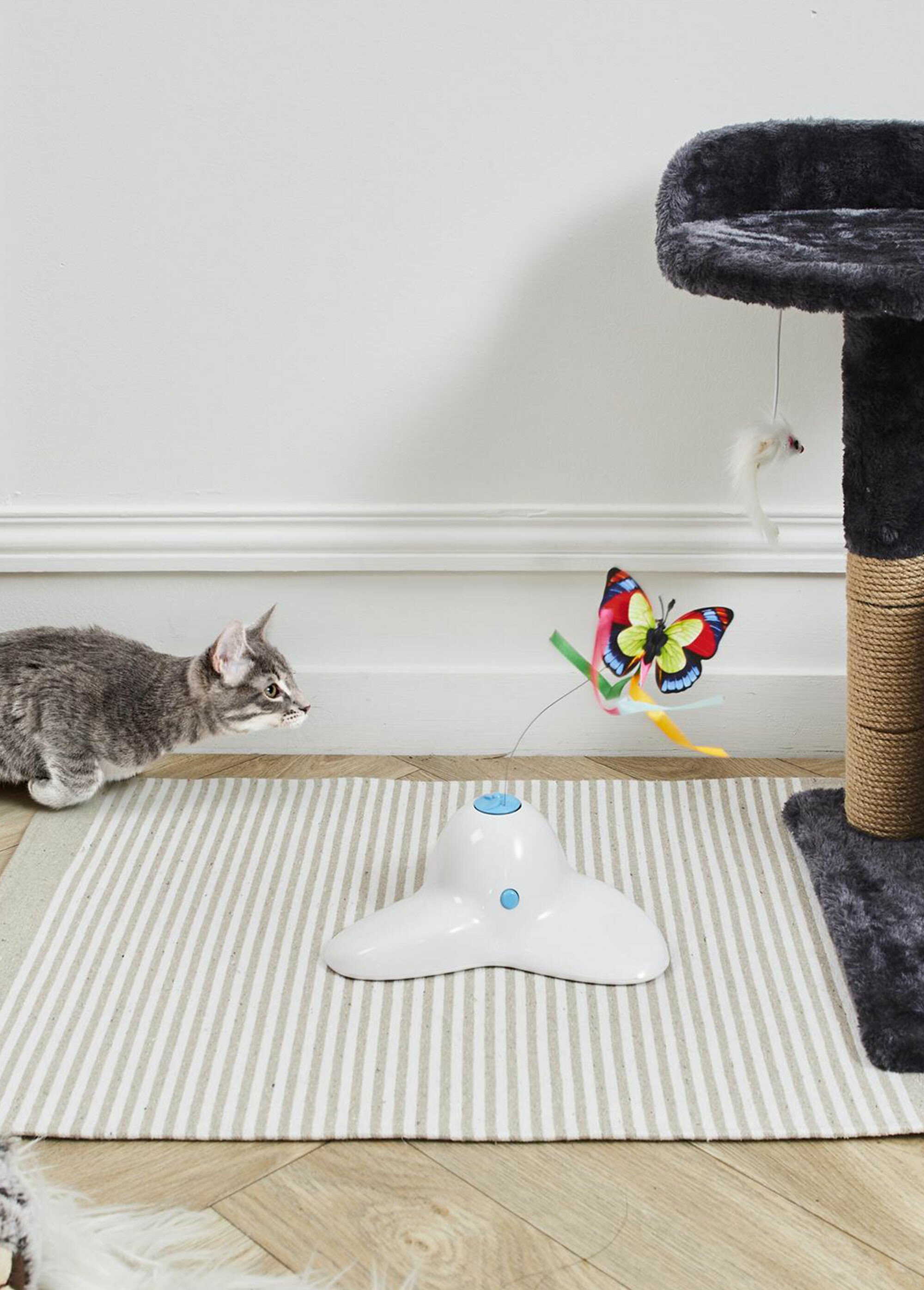 Jeu interactif papillon, pour chat BLANC CMP-AN5253 SI1