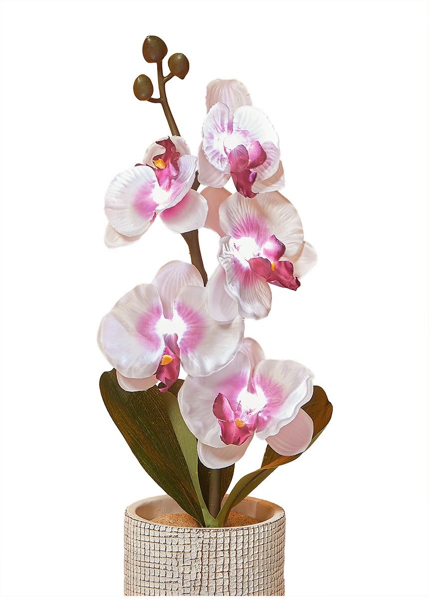 Branche d'orchidée lumineuse 5 fleurs