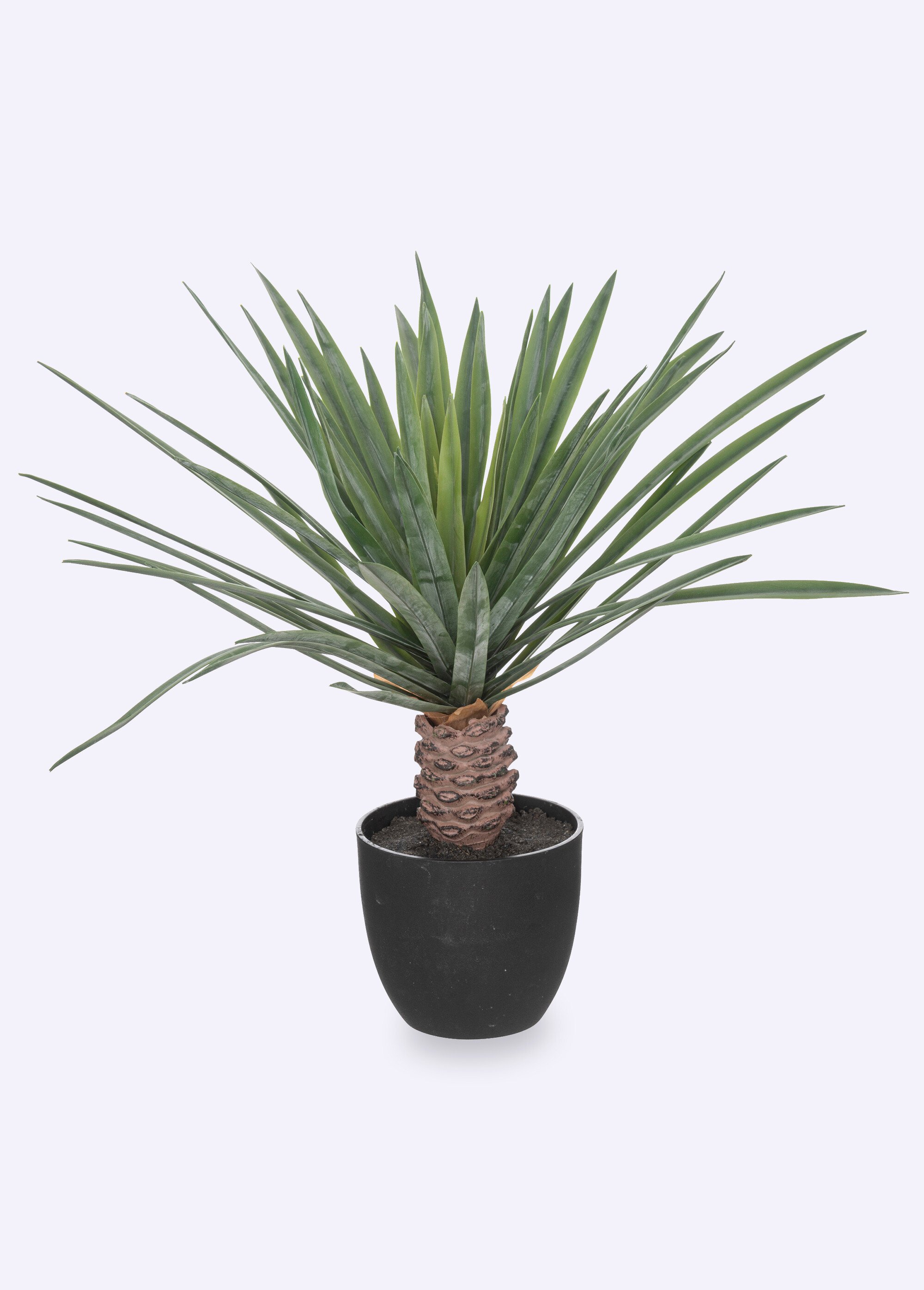 Plante artificielle style palmier + pot
