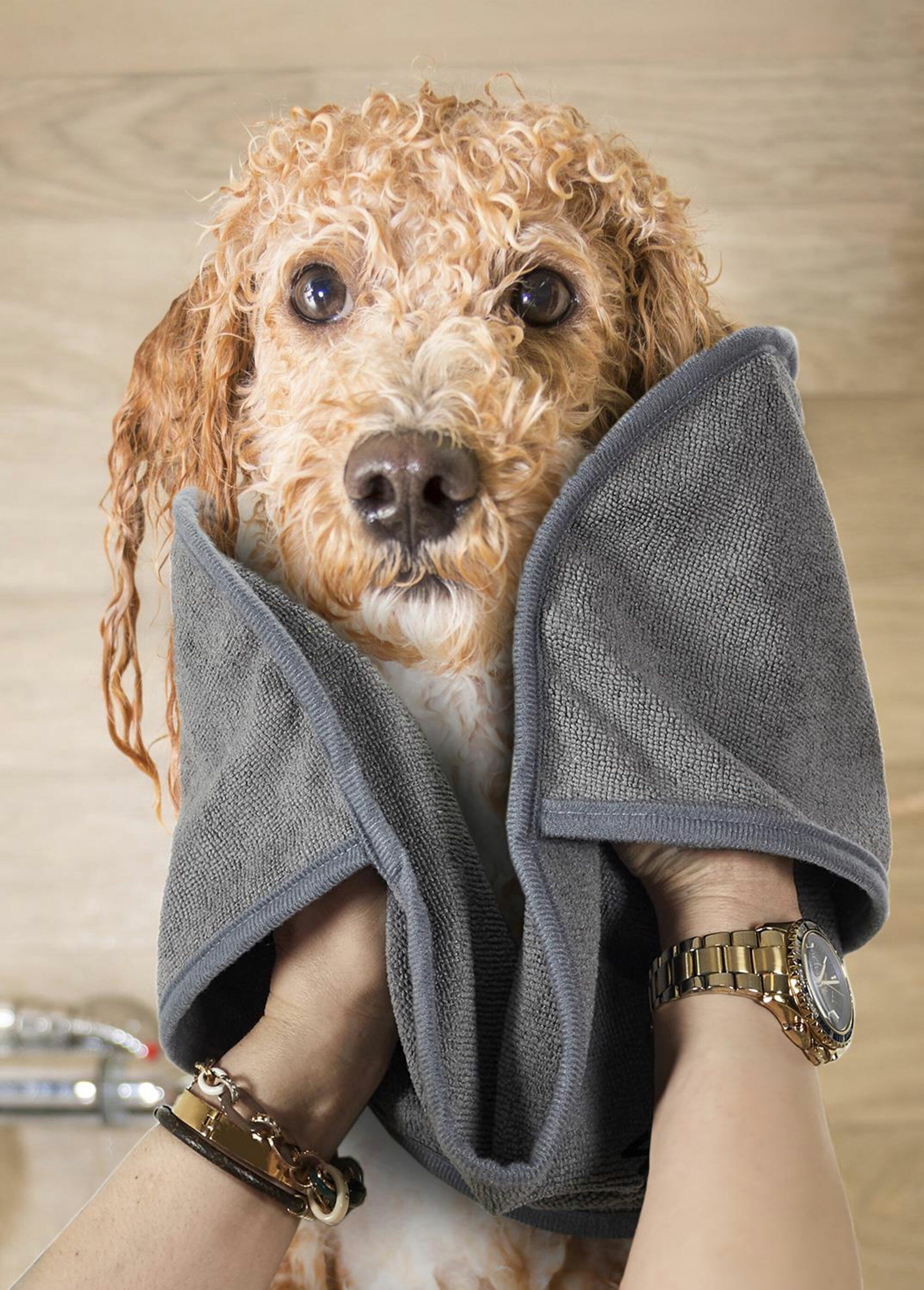 Serviette absorbante pour animal GRIS CMP-AN0007 SI1