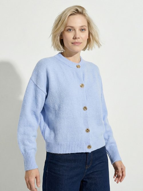 Gilet cardigan unie boutonnée avec laine Femme Bleu PACORUS FA1
