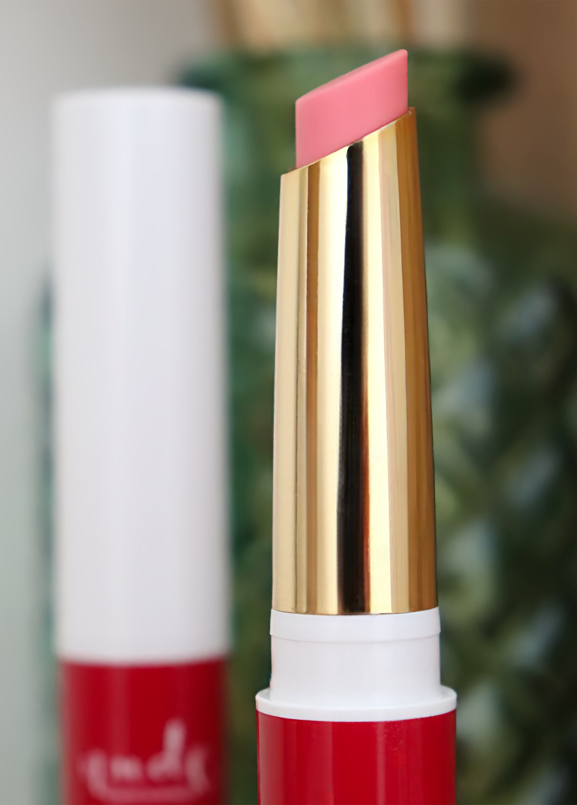 Embellisseur à lèvres vegan Rose NUDLEVRES DE2