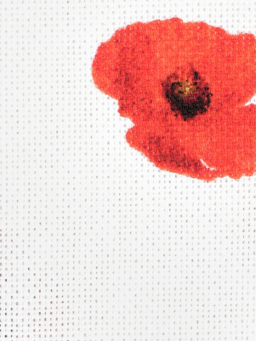 Coupon ameublement, coquelicot 0,5x1,4m COQUELICOT COT149859 DE2