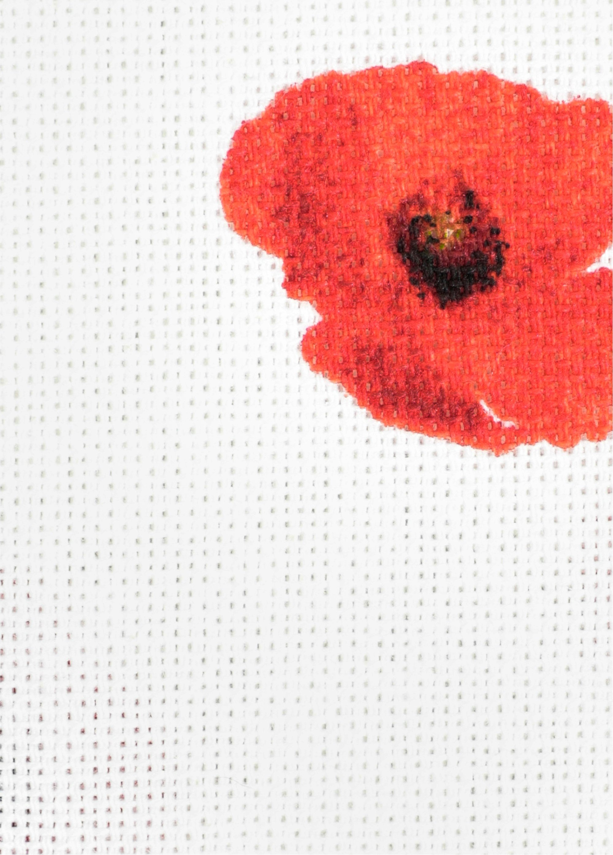 Coupon ameublement, coquelicot 2x1,4m ROUGE COT149866 DE2