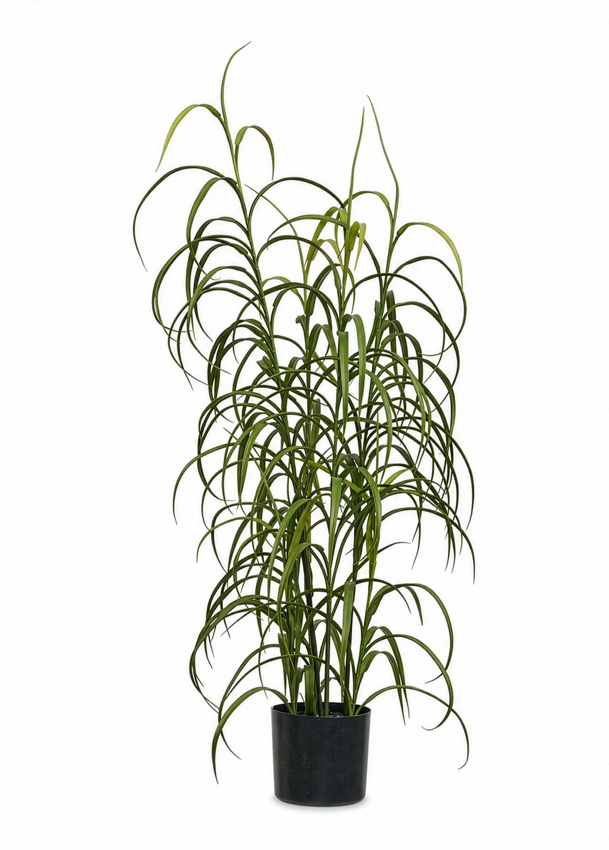 Plante artificielle type herbe sauvage VERT HN-9510003 FA1