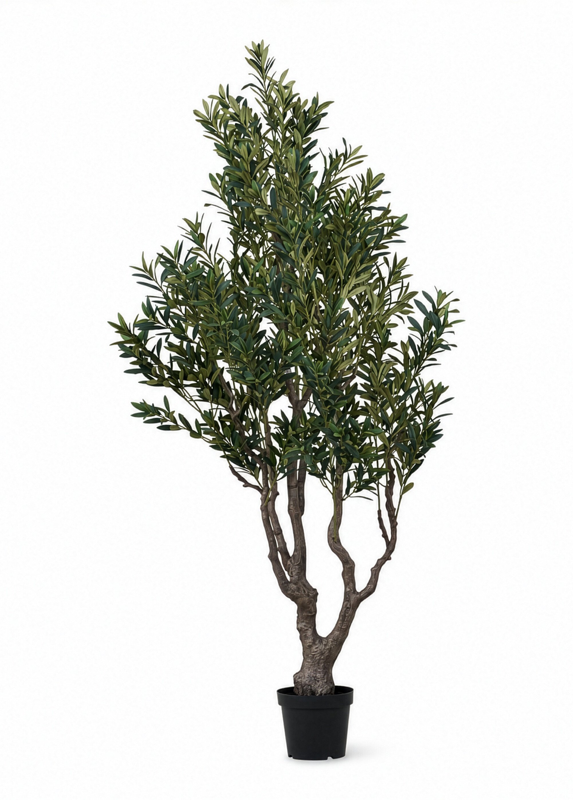 Grand olivier artificiel 220cm en pot Vert HN-9501095 FA1