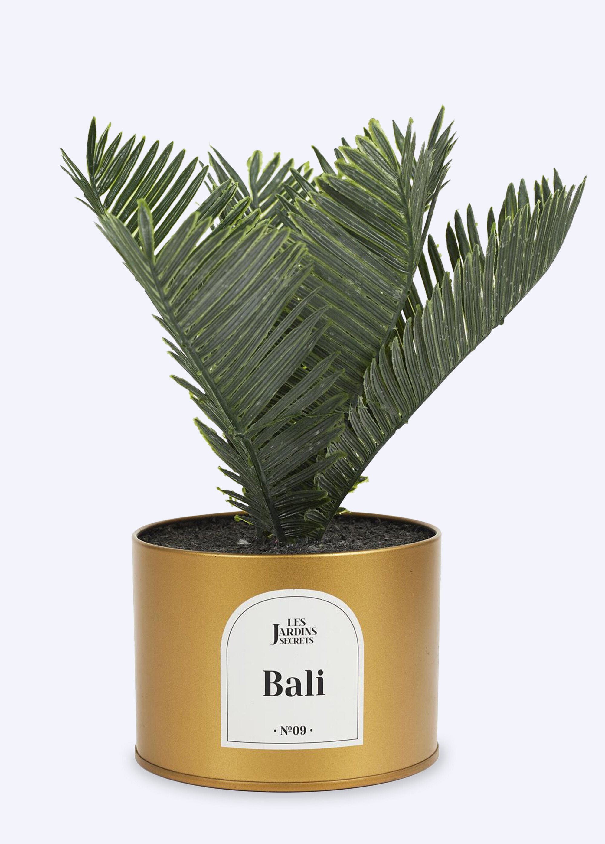 Plante artificielle Oasis + pot métal Marron CMP-HD8103 FA1