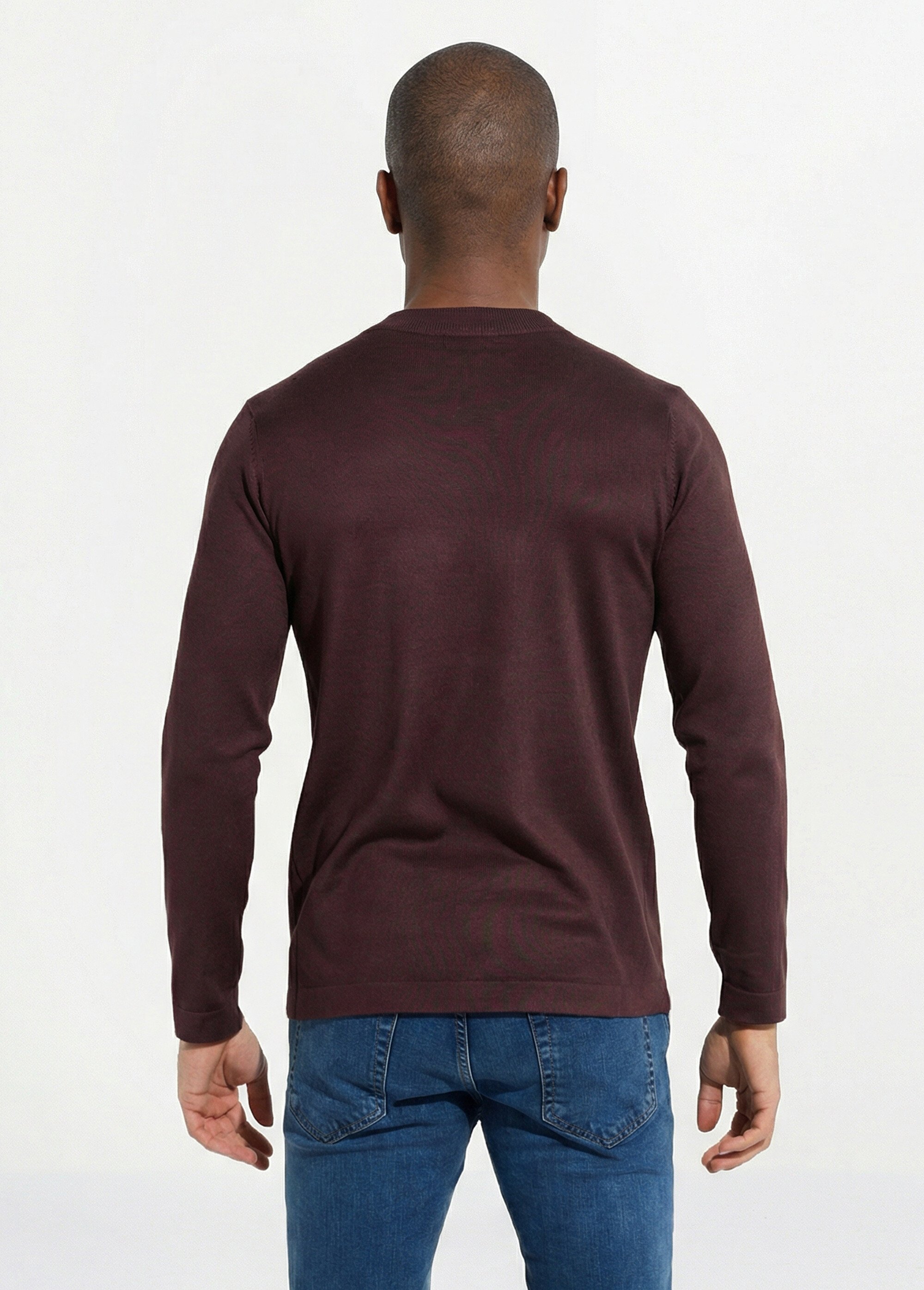 Pull en fine maille avec col montant Homme Marron FRIFA5105 DO1