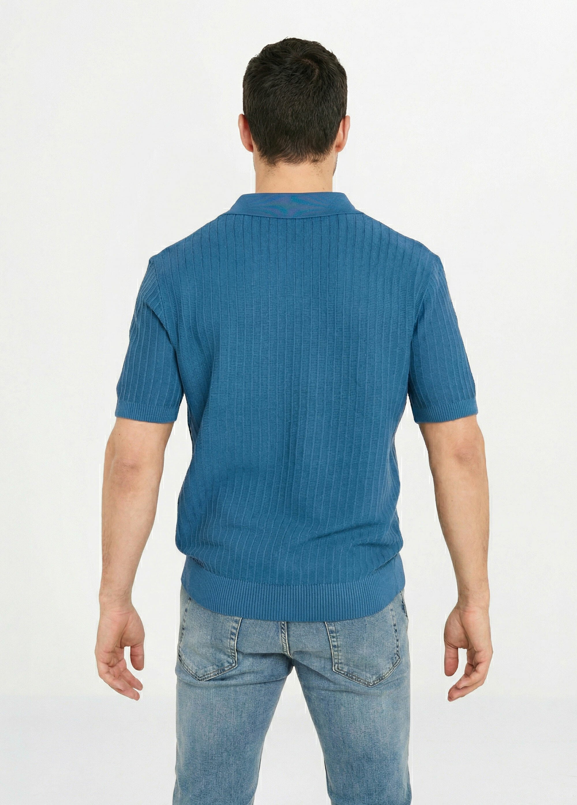 Pull fin col polo, en maille texturée Bleu FRIDZ2466 DO1