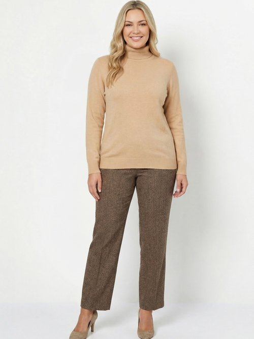Pull doux col roulé manches longues Femme Grande Taille Marron PANTHEON SI1