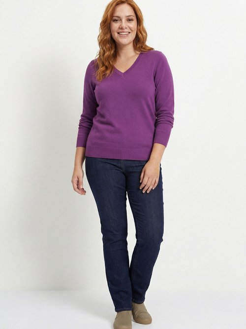 Pull doux col V manches longues Femme Grande Taille Violet PARMELIE SI1