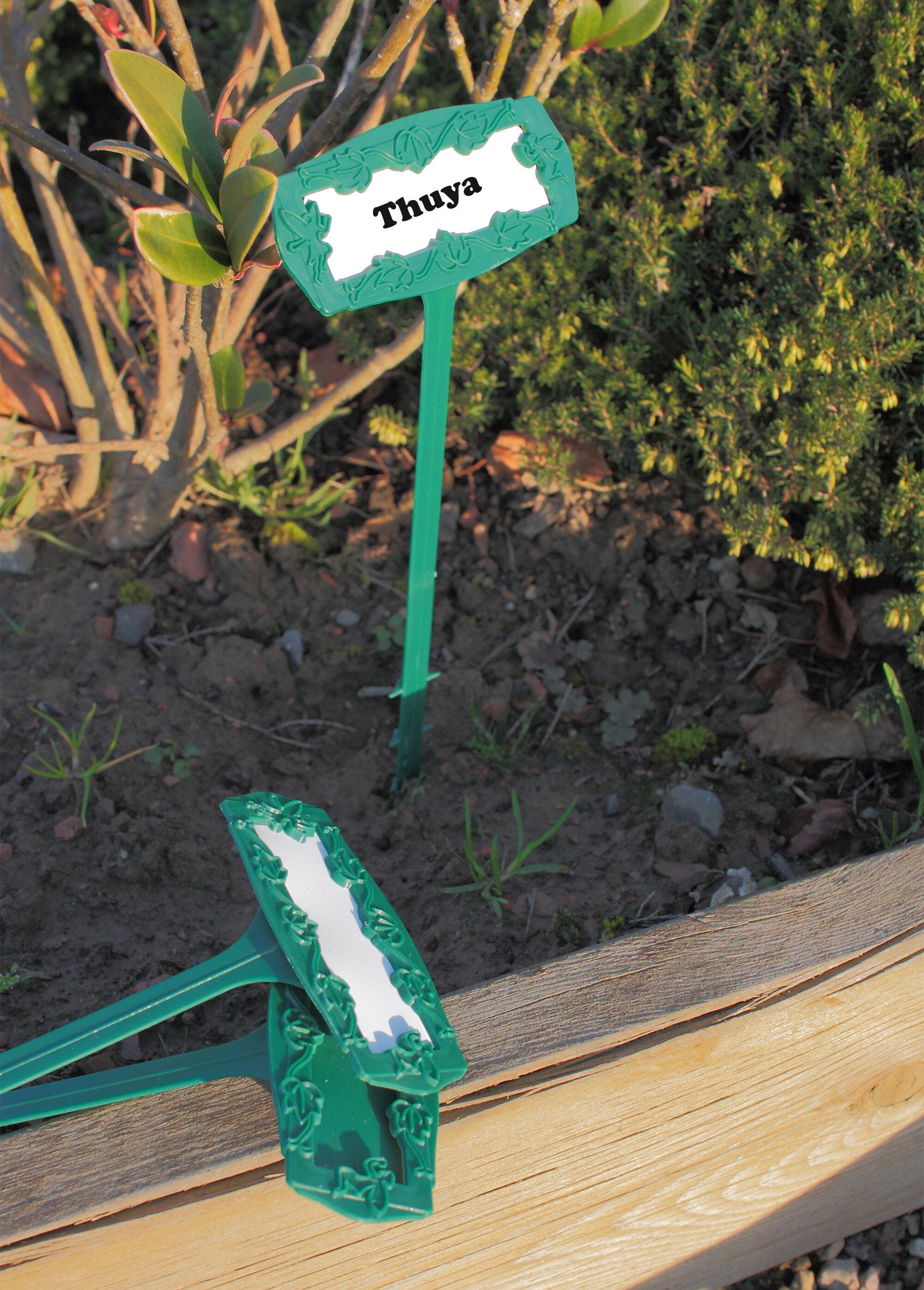 Lot de 5 marque-plantes avec étiquettes