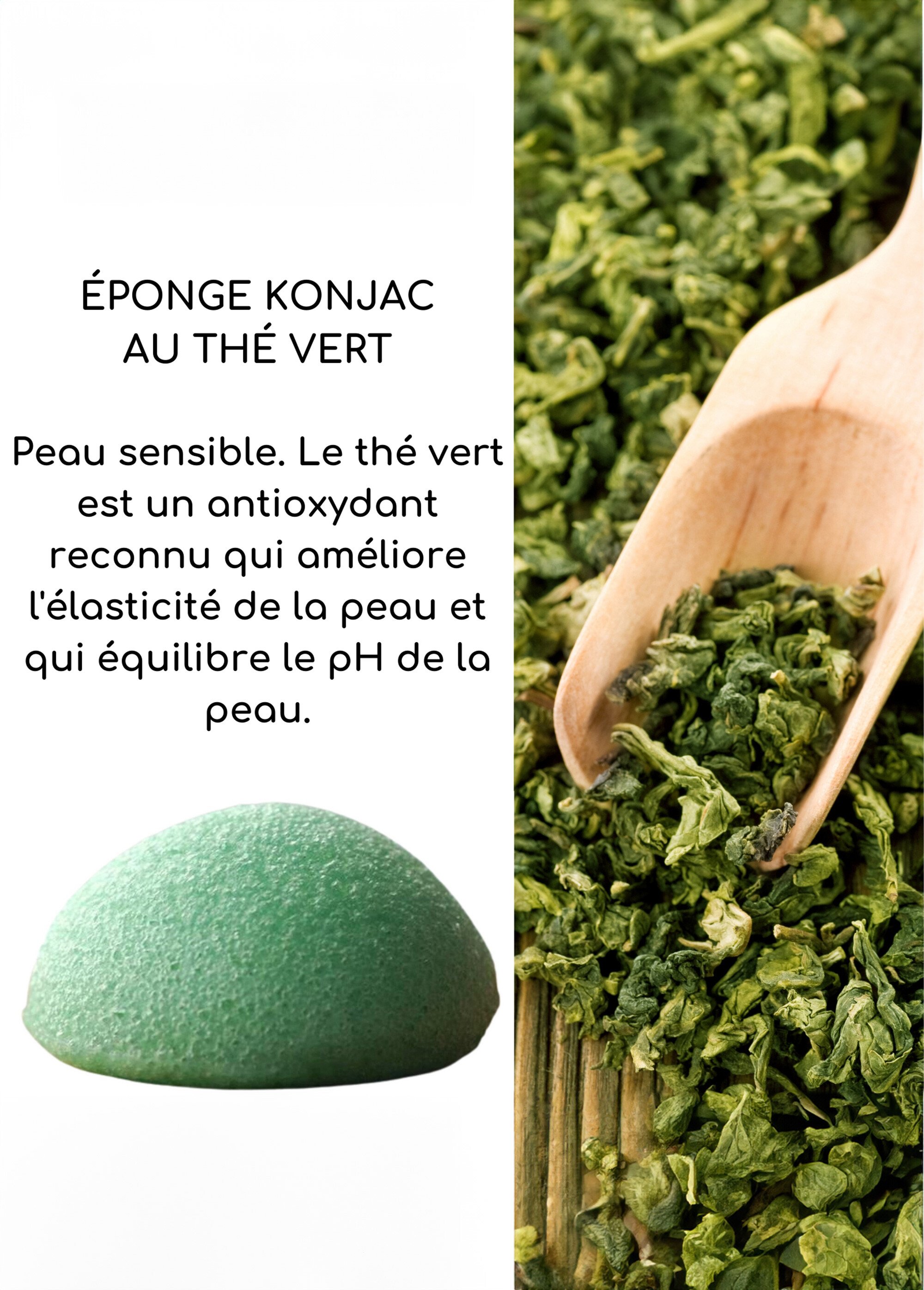 Éponge konjac au thé vert Vert ZENKONJAC DE2
