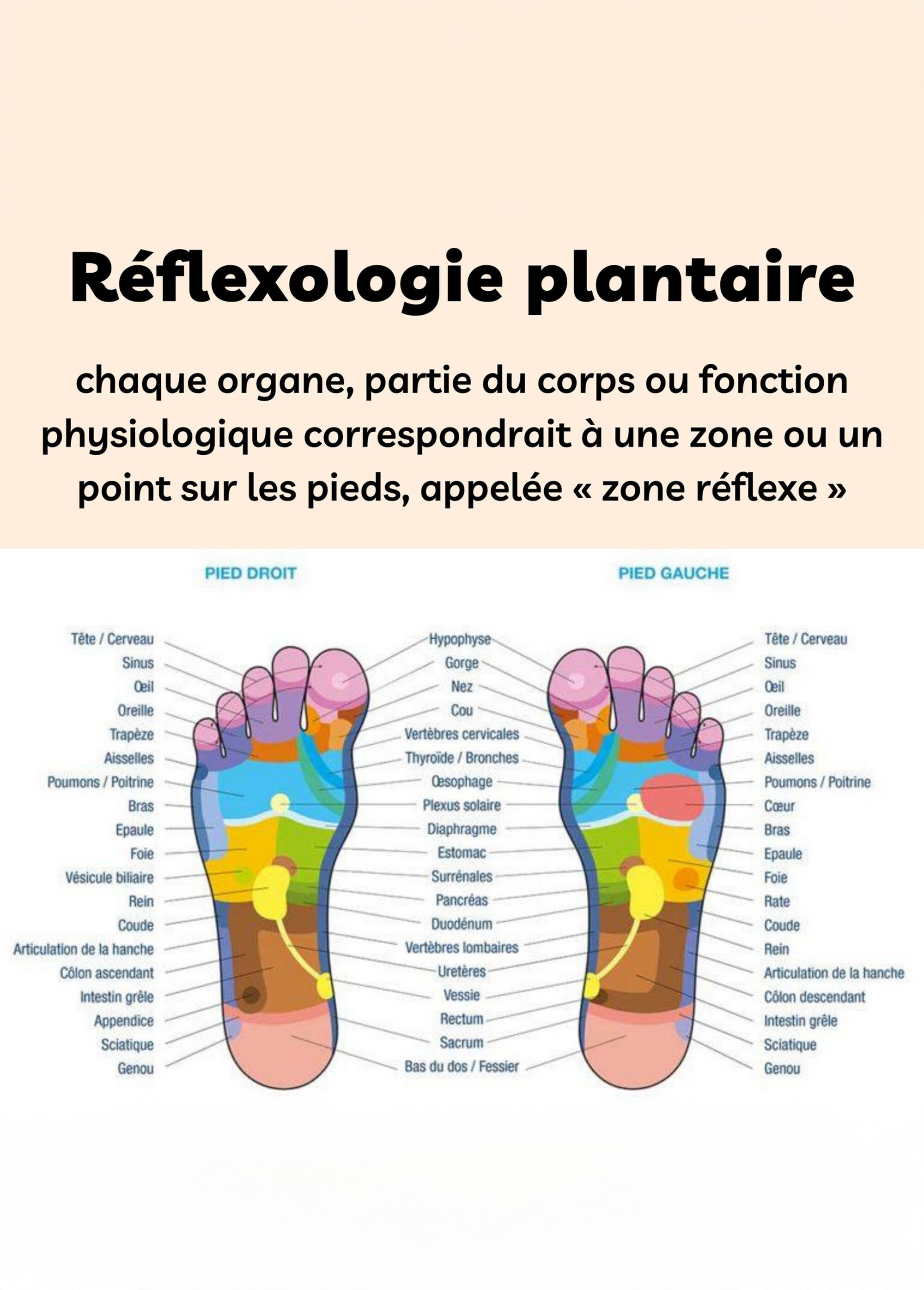 Masseur de pied en bois réflexologie Beige ZENMASSAGEPIED DE4