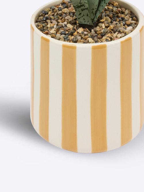 Plante artificielle, pot céramique rayée Orange JJA-210126 DE2