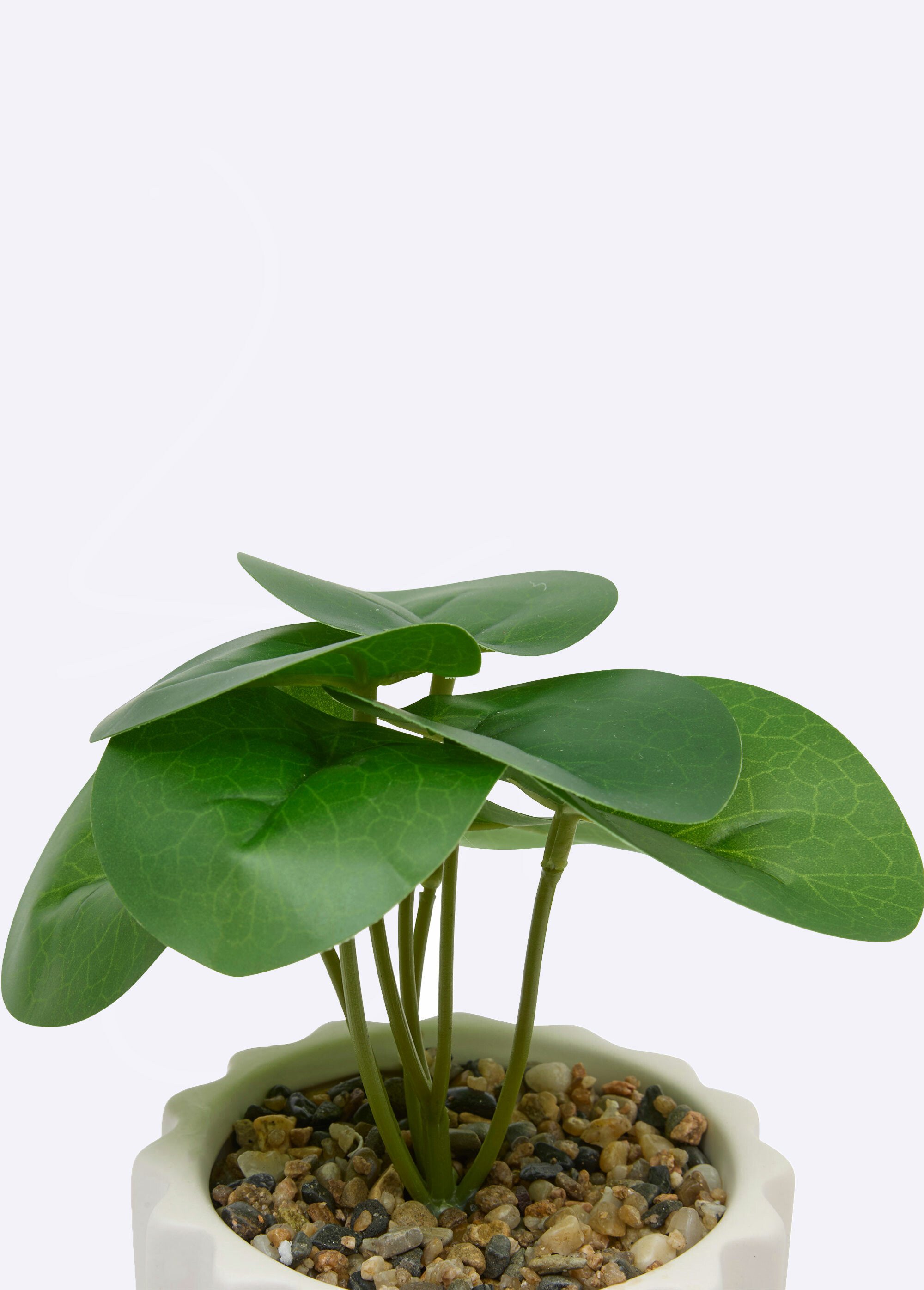 Plante artificielle, pot strié céramique Blanc JJA-210187 DE1