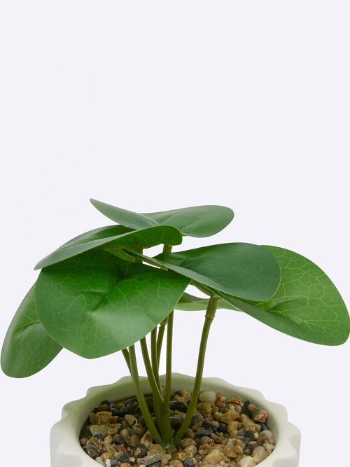 Plante artificielle, pot strié céramique Blanc JJA-210187 DE1