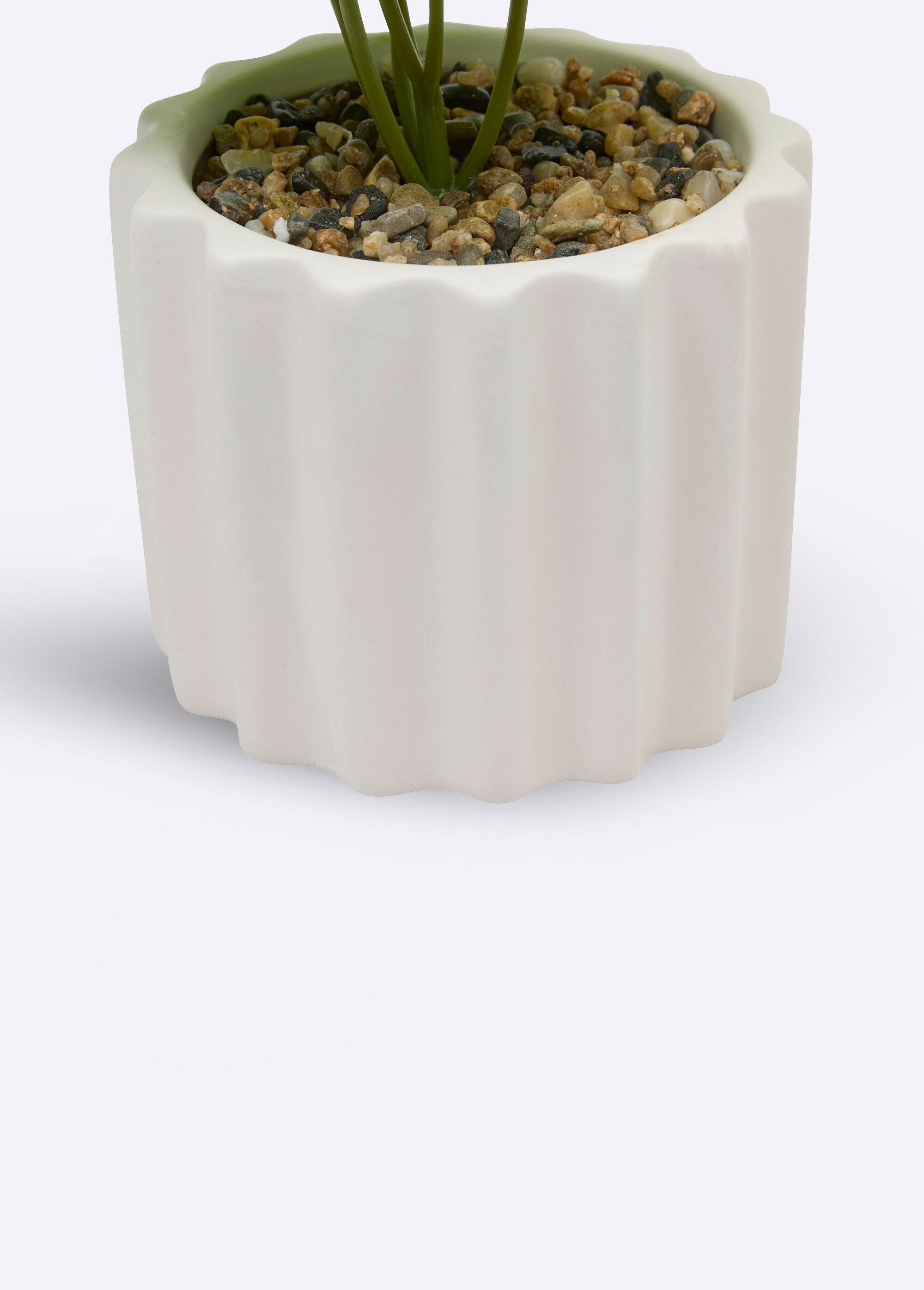 Plante artificielle, pot strié céramique Blanc JJA-210187 DE2