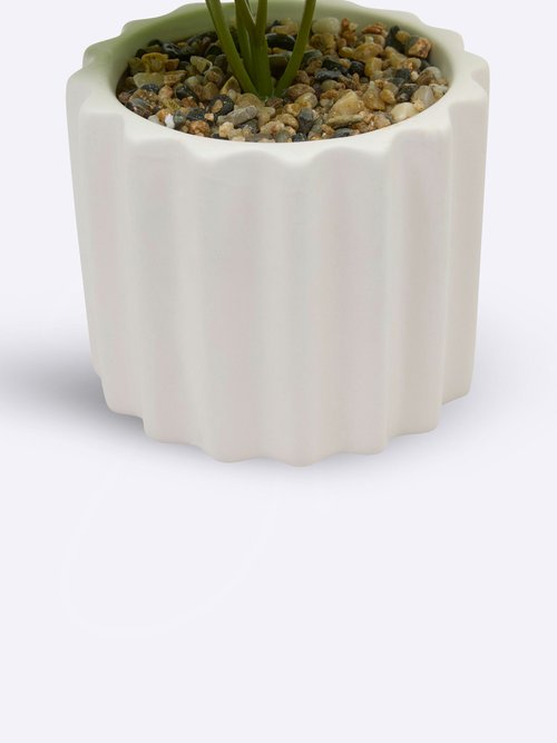 Plante artificielle, pot strié céramique Blanc JJA-210187 DE2