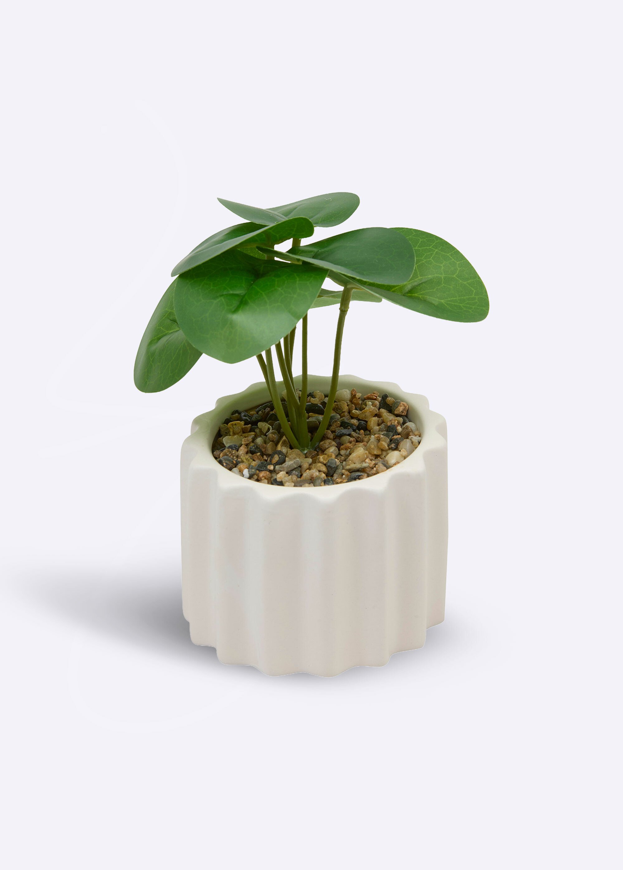 Plante artificielle, pot strié céramique Blanc JJA-210187 FA1