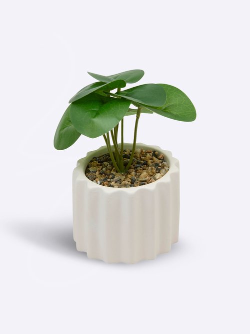 Plante artificielle, pot strié céramique Blanc JJA-210187 FA1