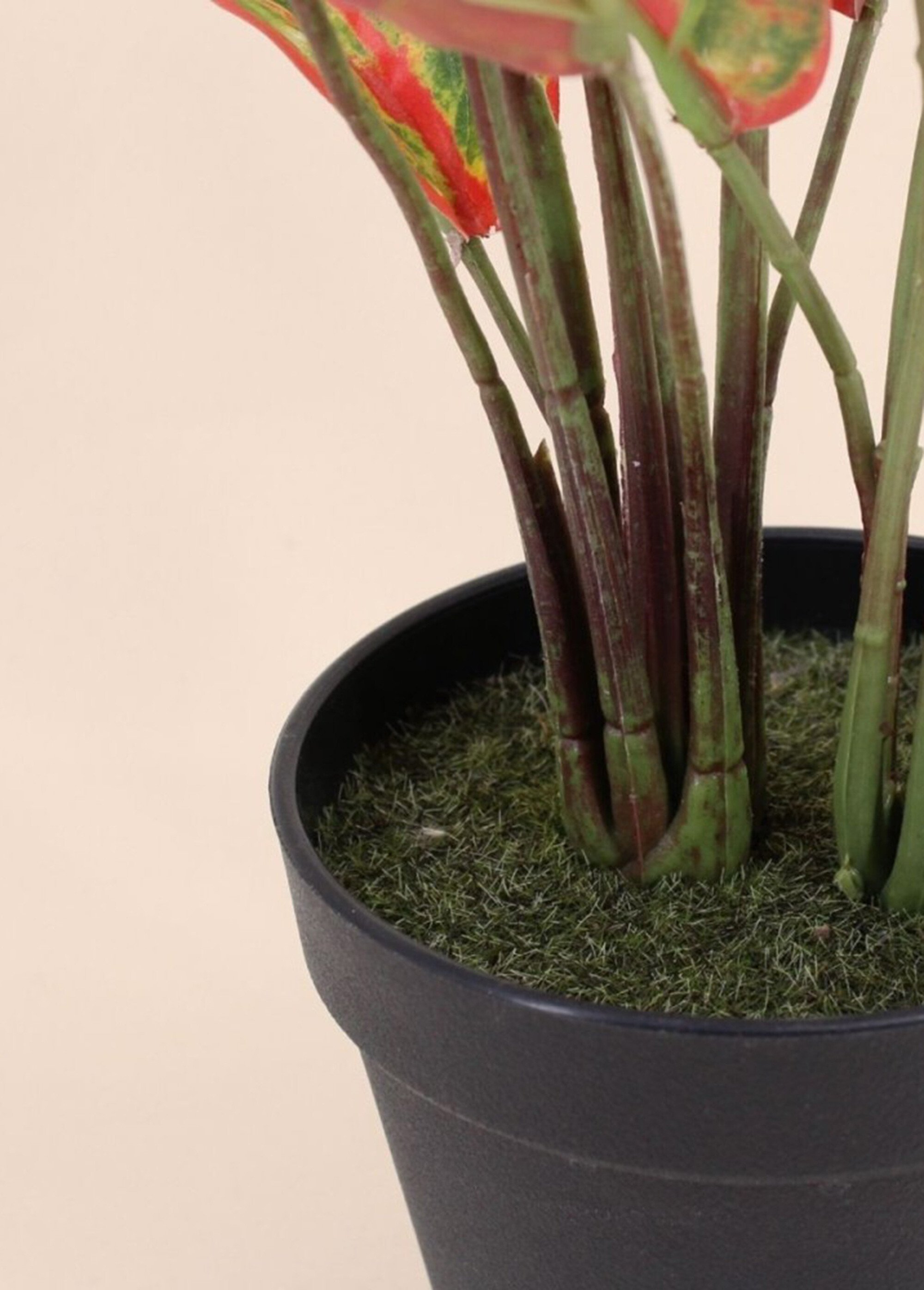 Plante artificielle Aglaonème + pot Noir NOR-20702 DE2