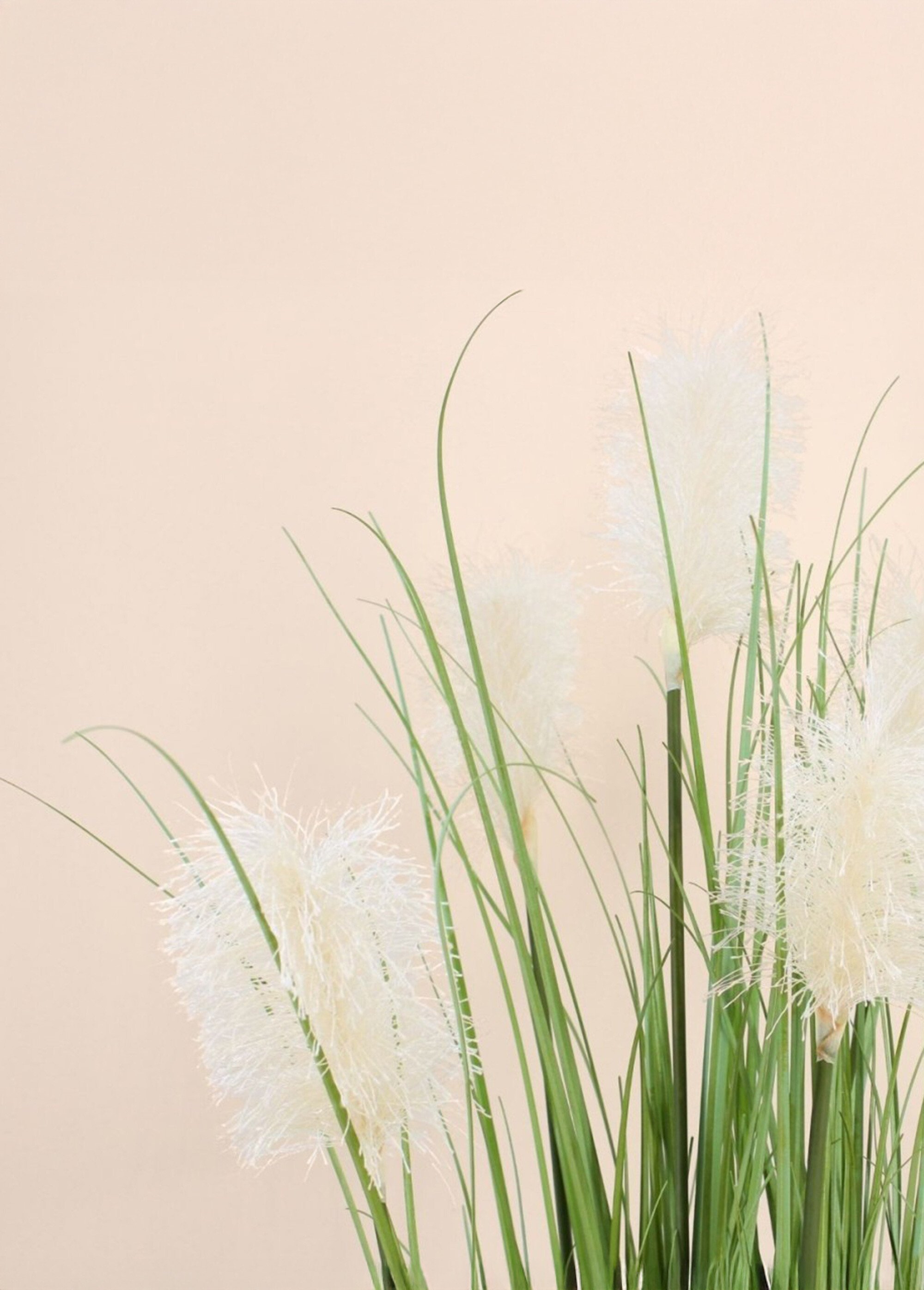 Plante artificielle Herbe de la pampa