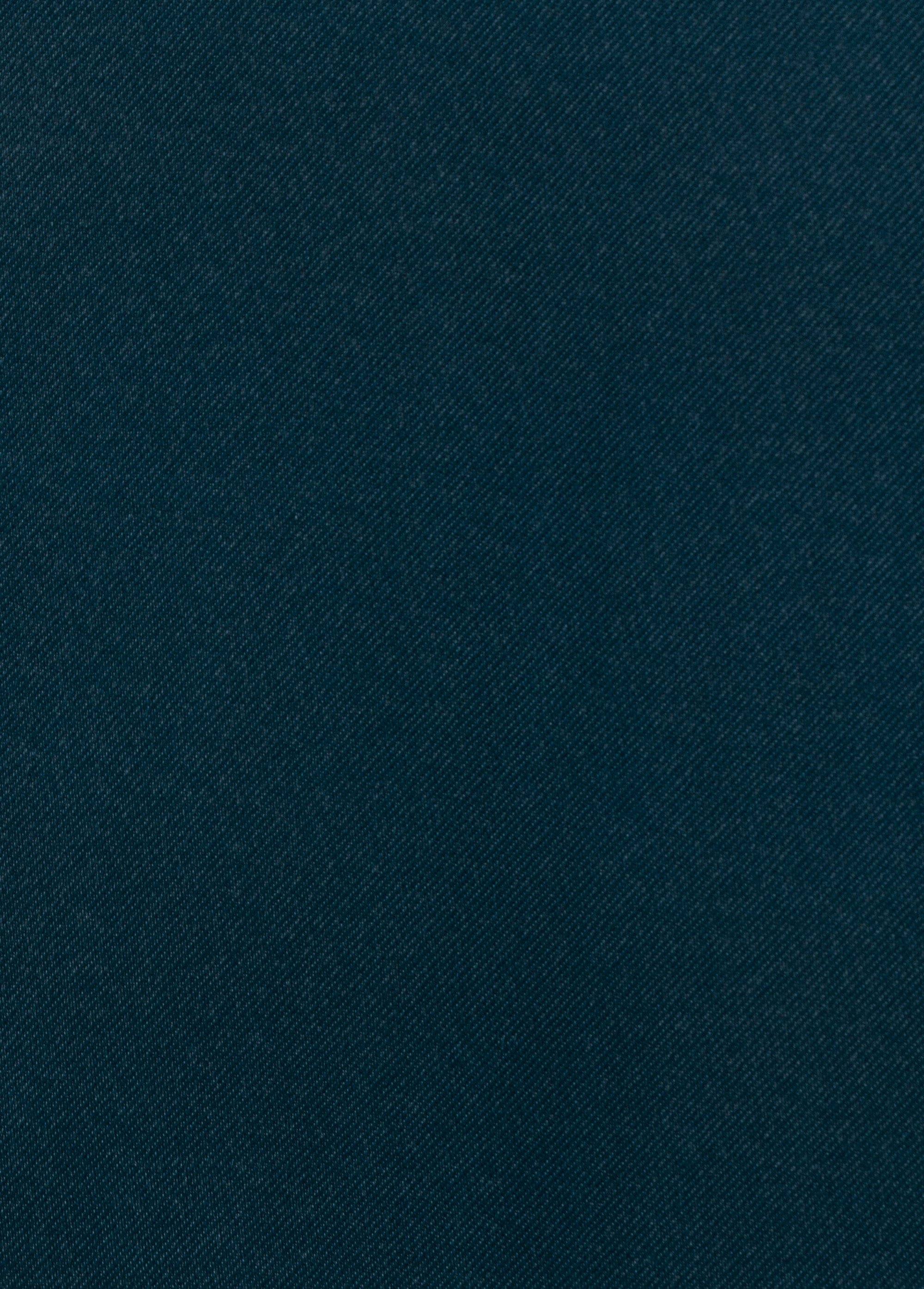 Rideau occultant oeillets métal 140x260cm Bleu JJA-103859 DE1