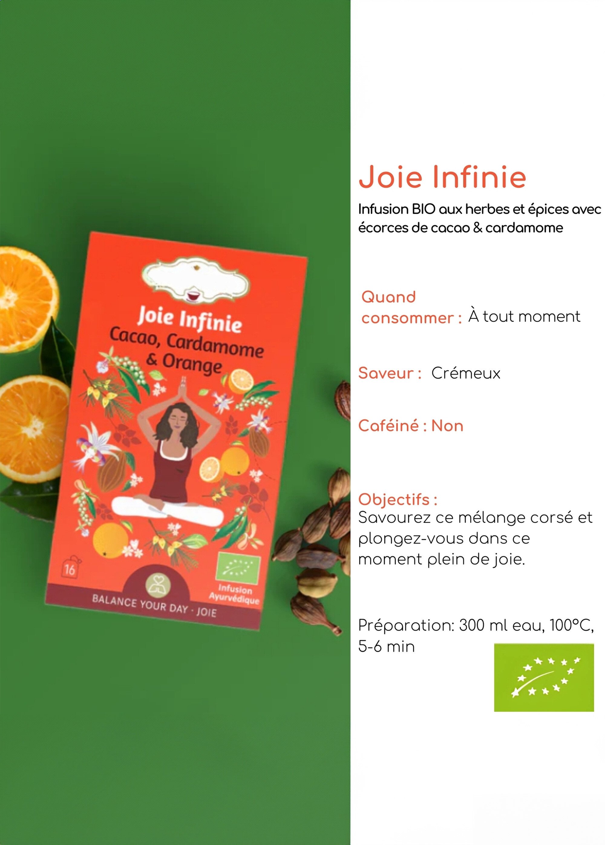 Sachets infusion BIO cacao orange cardamome Orange ZENTISANE4 DE1