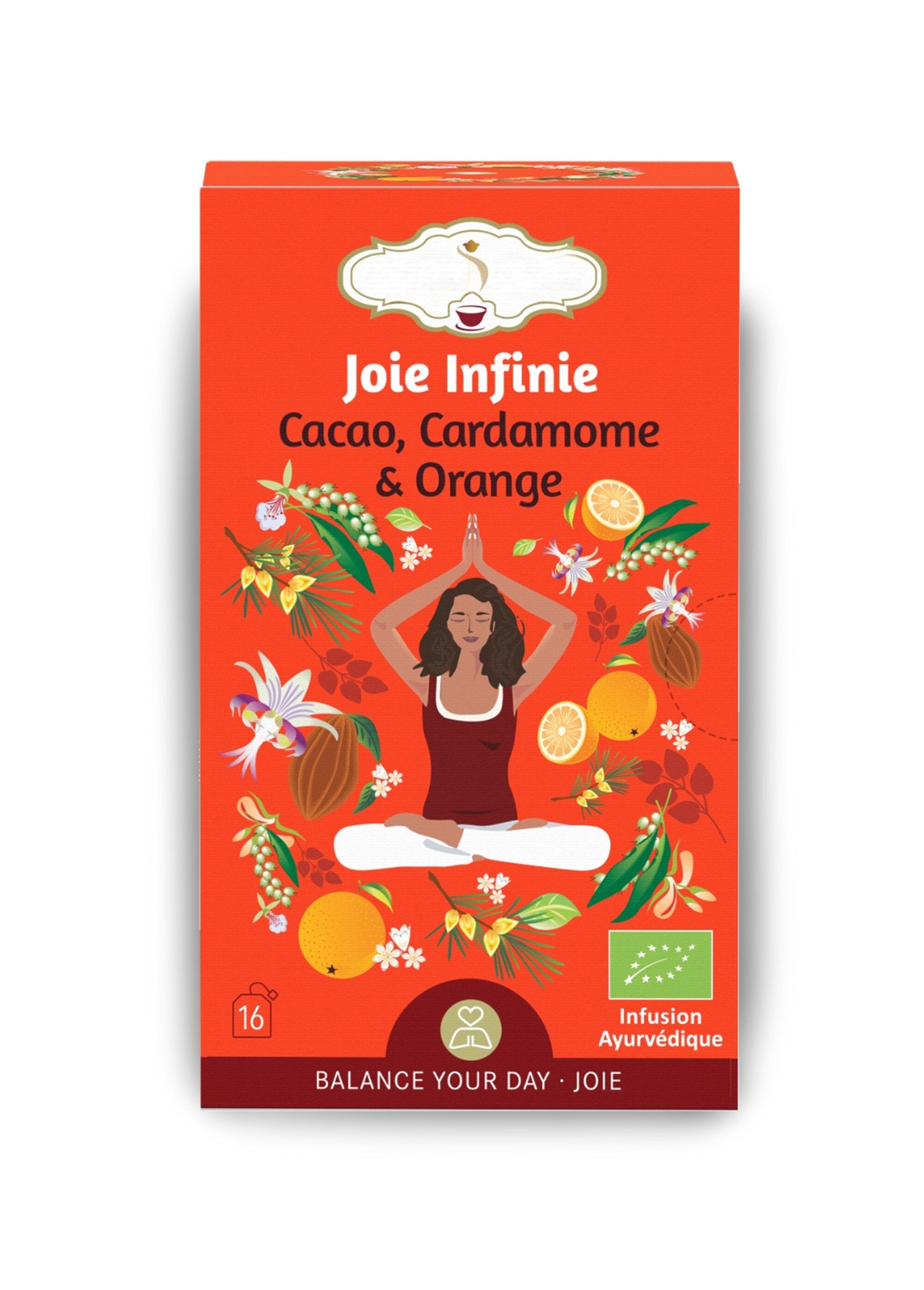 Sachets infusion BIO cacao orange cardamome Orange ZENTISANE4 FA1