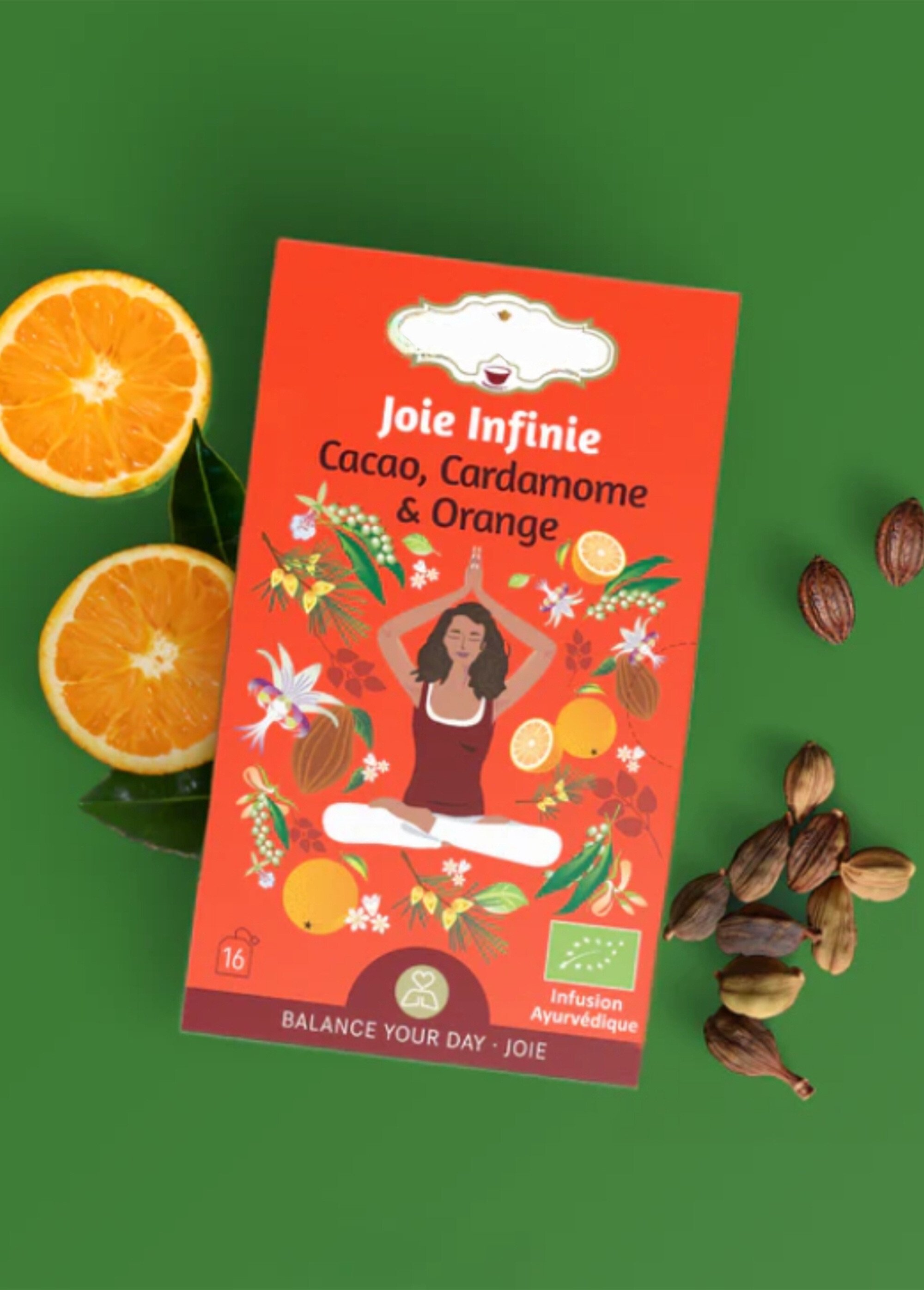 Sachets infusion BIO cacao orange cardamome Orange ZENTISANE4 SF1