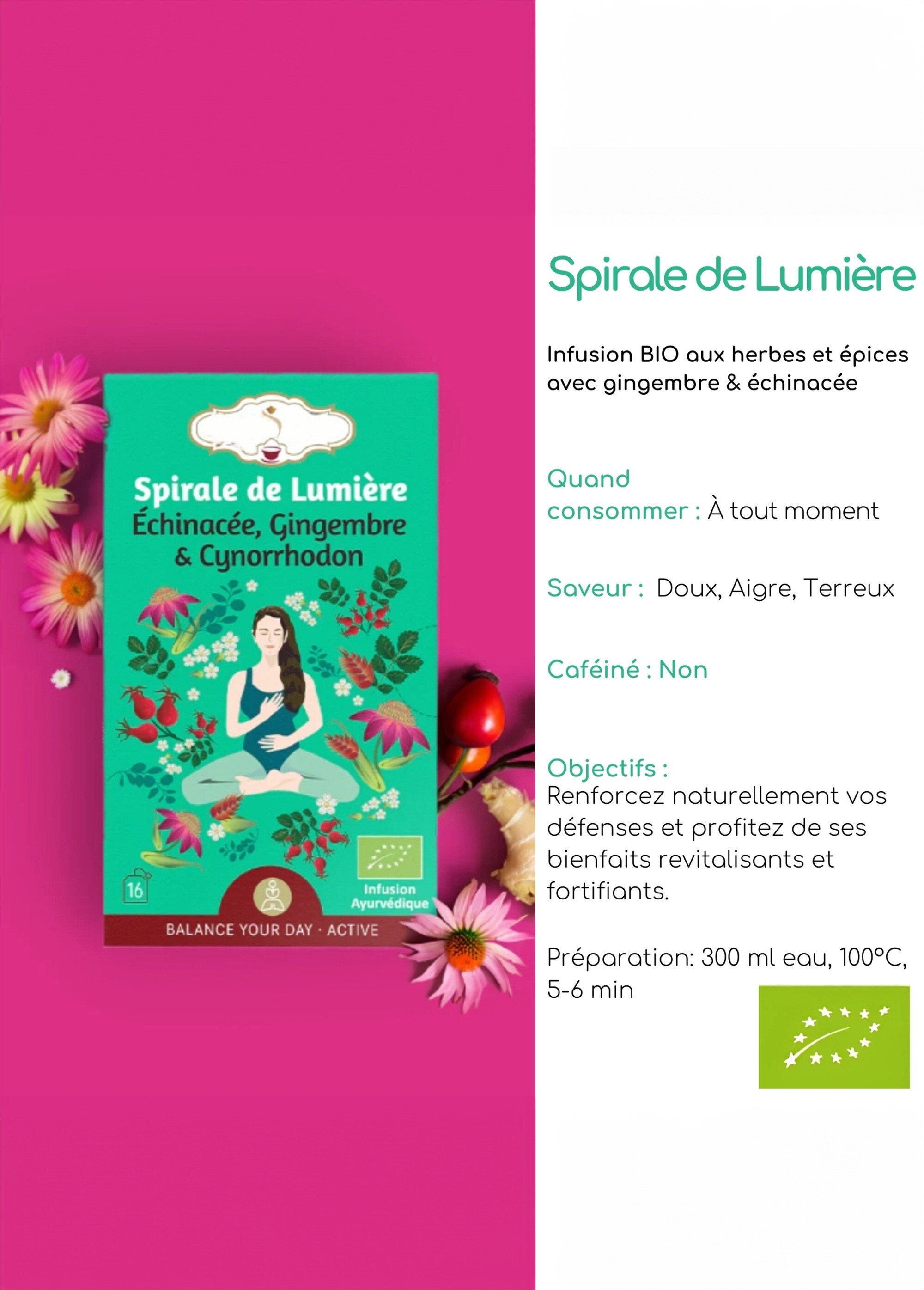 Sachets infusion BIO gingembre cynorrhodon Vert ZENTISANE1 DE1