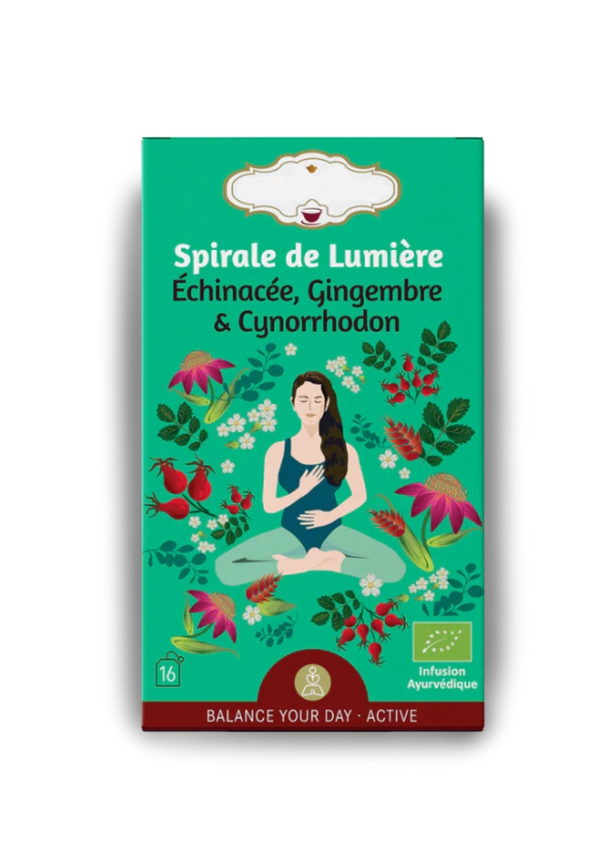 Sachets infusion BIO gingembre cynorrhodon Vert ZENTISANE1 FA1
