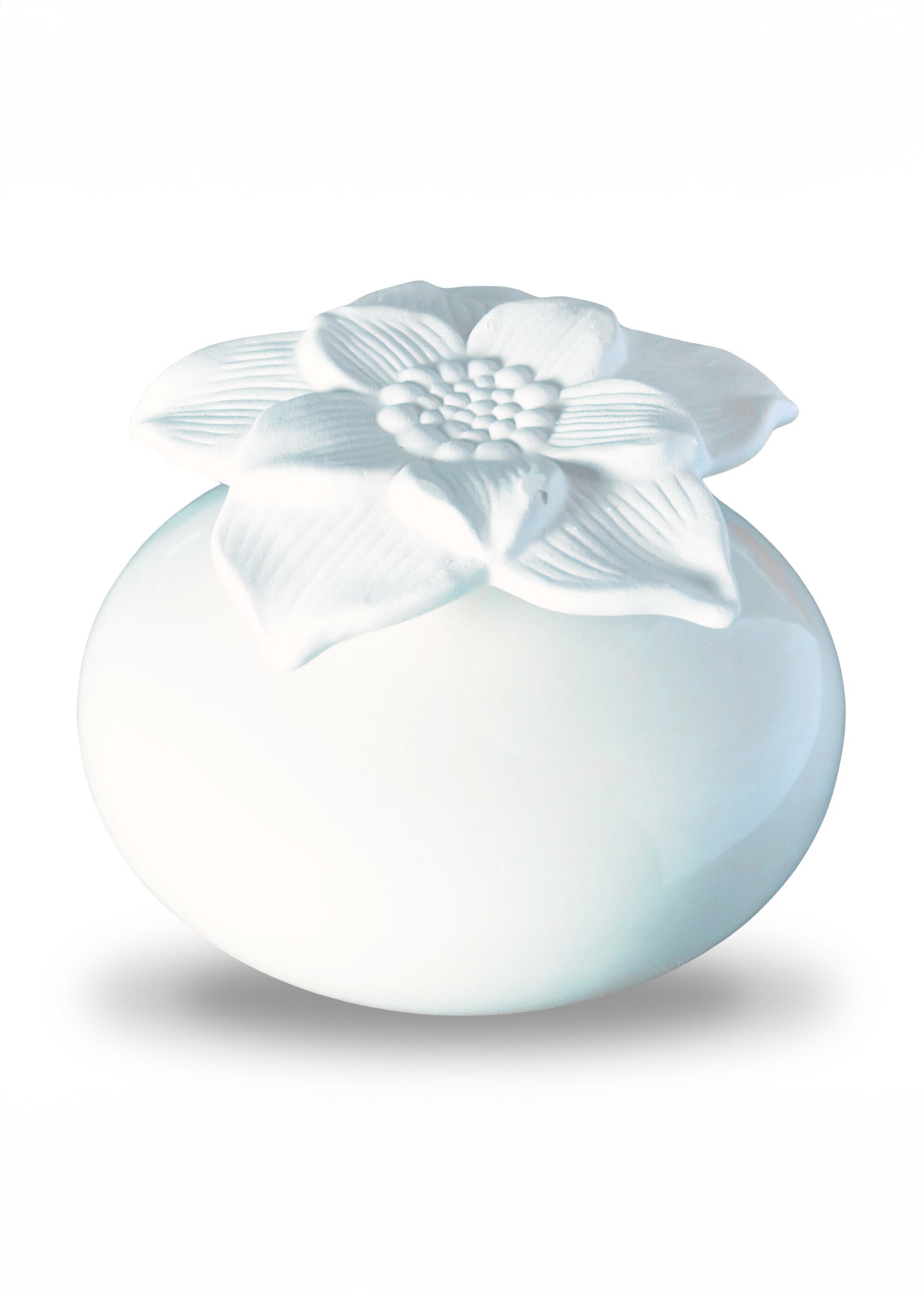 Diffuseur naturel plâtre, motif narcisse