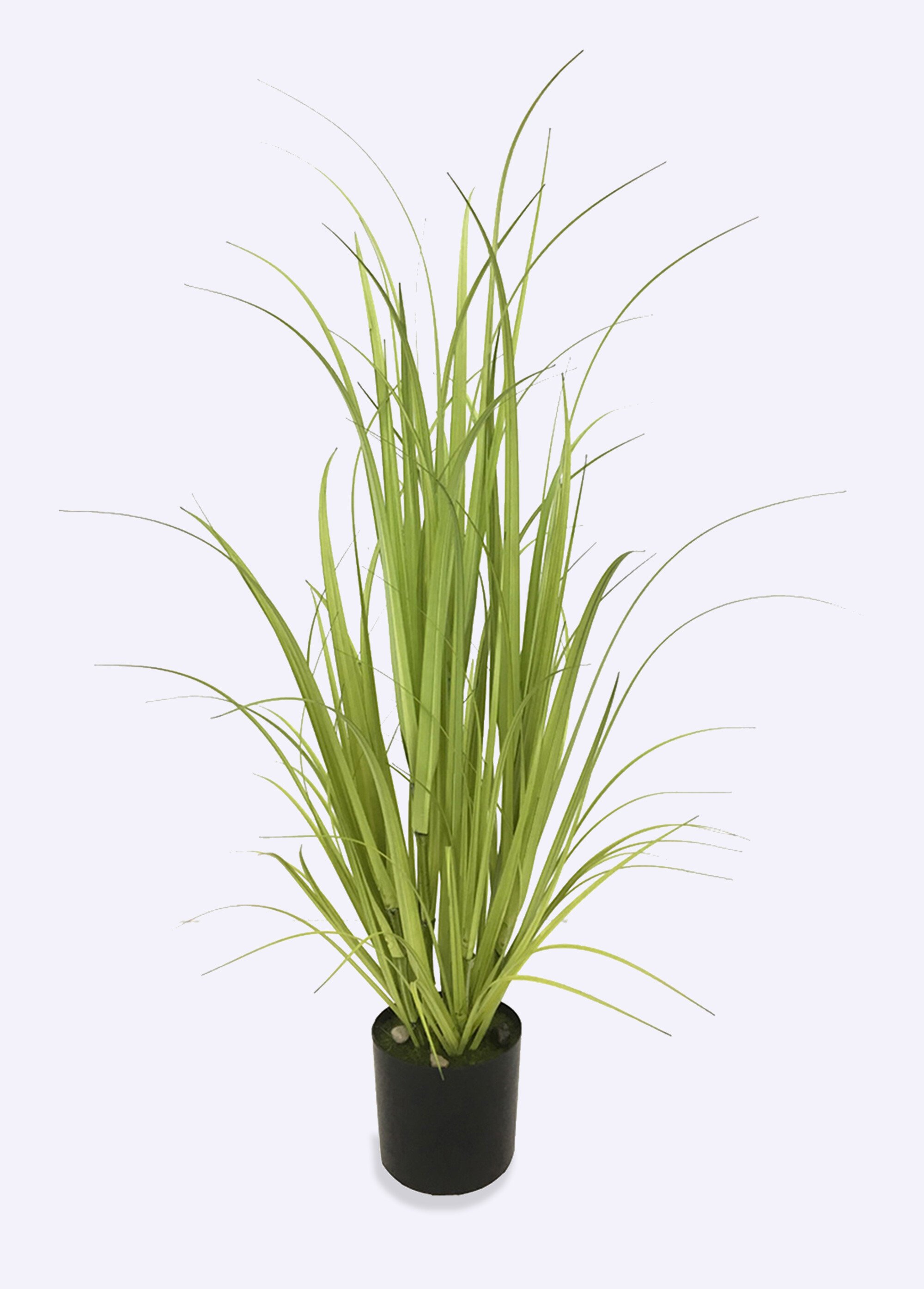 Plante artificielle Lemongrass + pot Noir NOR-14077 FA1
