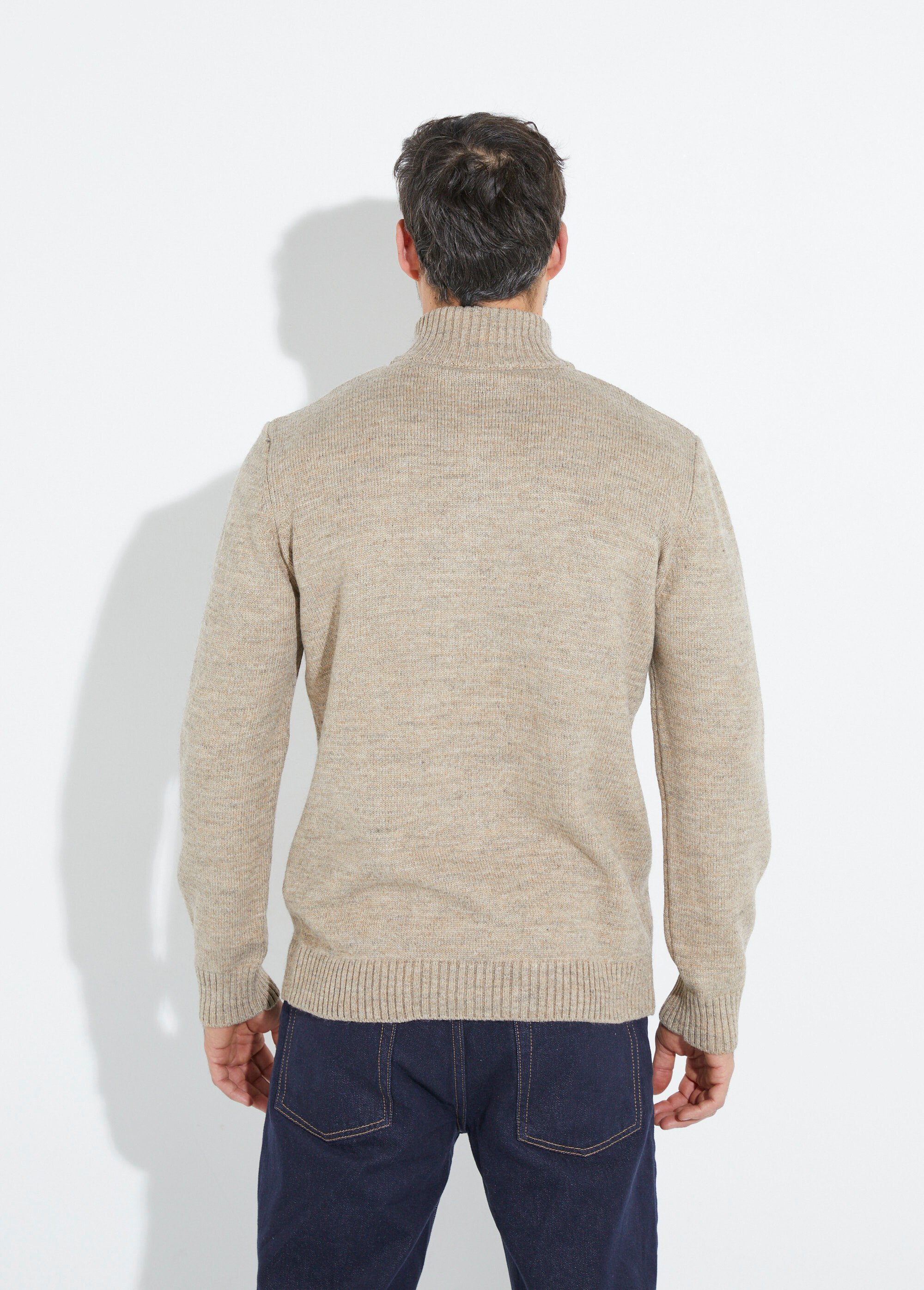 Pull col zippé chaud, laine majoritaire Homme Beige STI23000 DO1