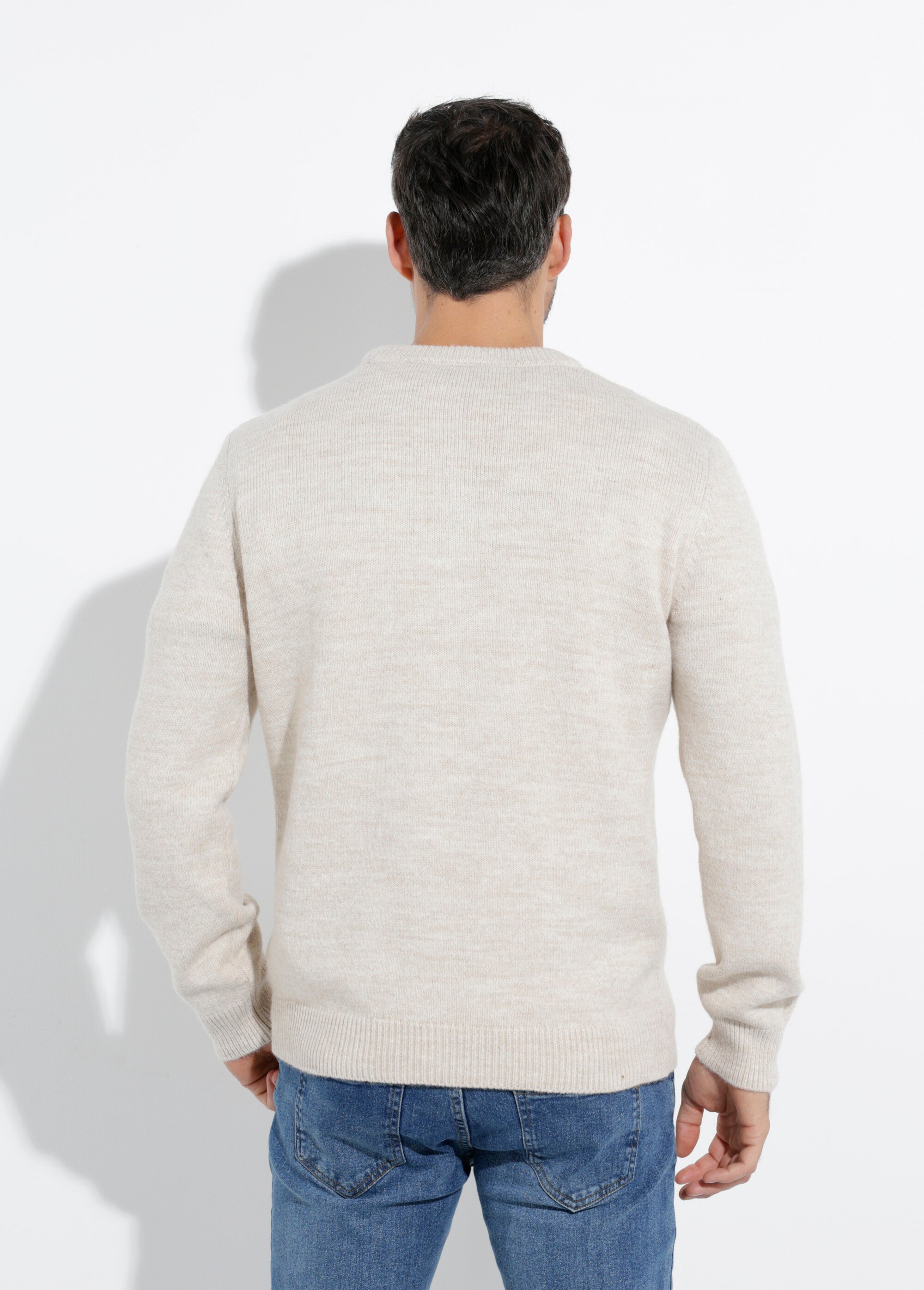 Pull chaud maille laine et col rond Homme Beige STI23001 DO1