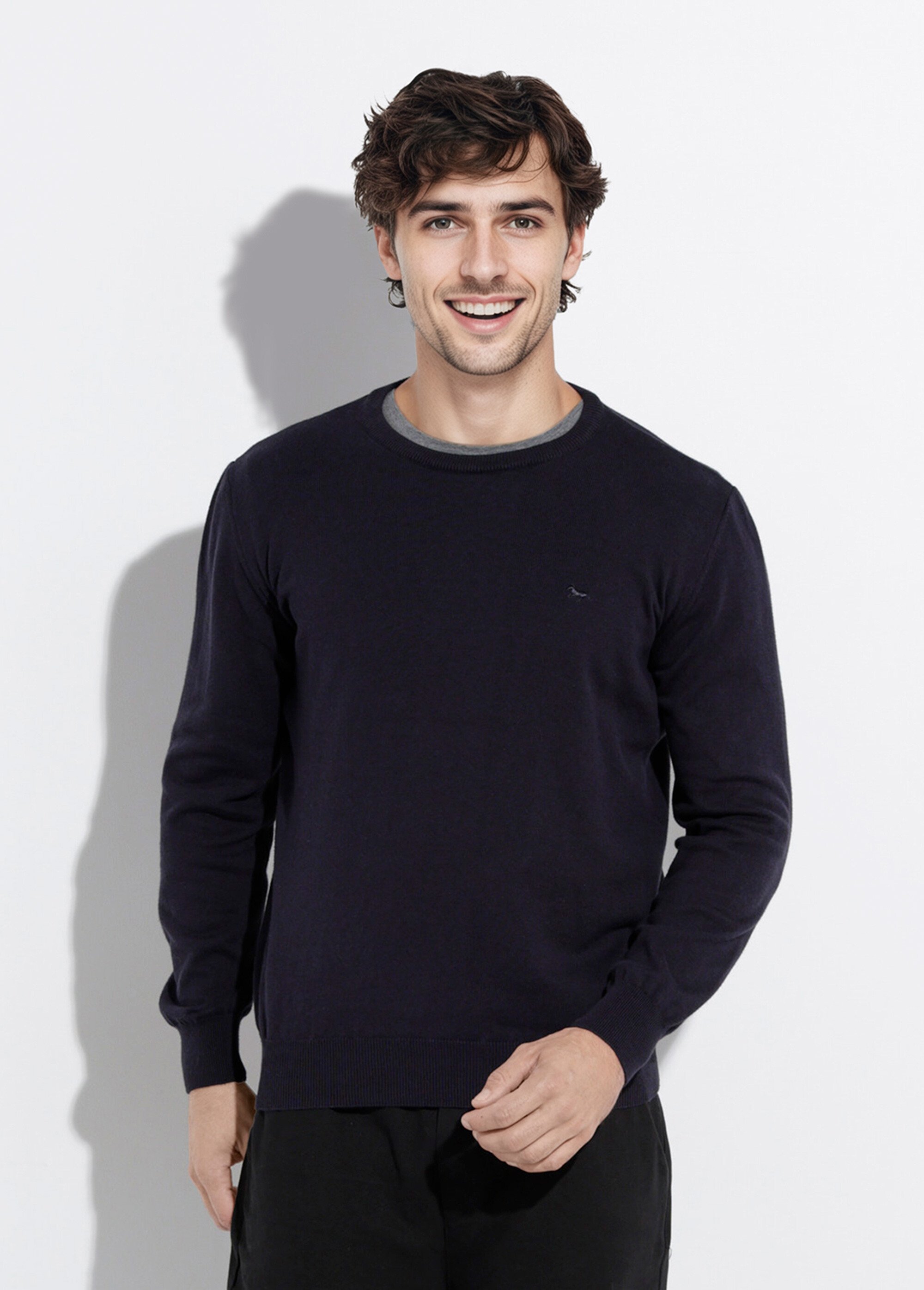 Pull fin coton, col rond manches longues Homme Bleu STIO1002 FA1