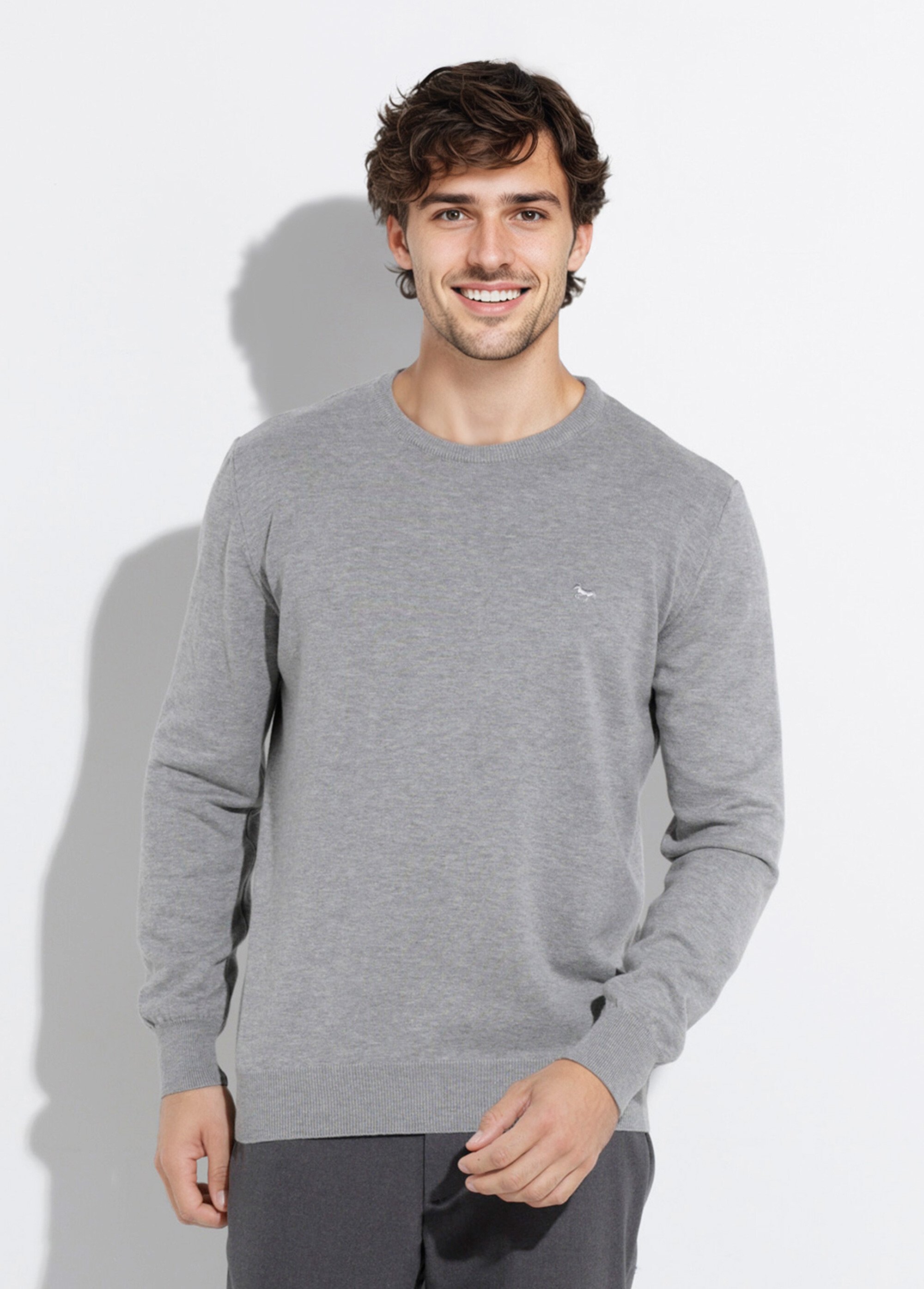 Pull fin coton, col rond manches longues Homme Gris STIO1002 FA1