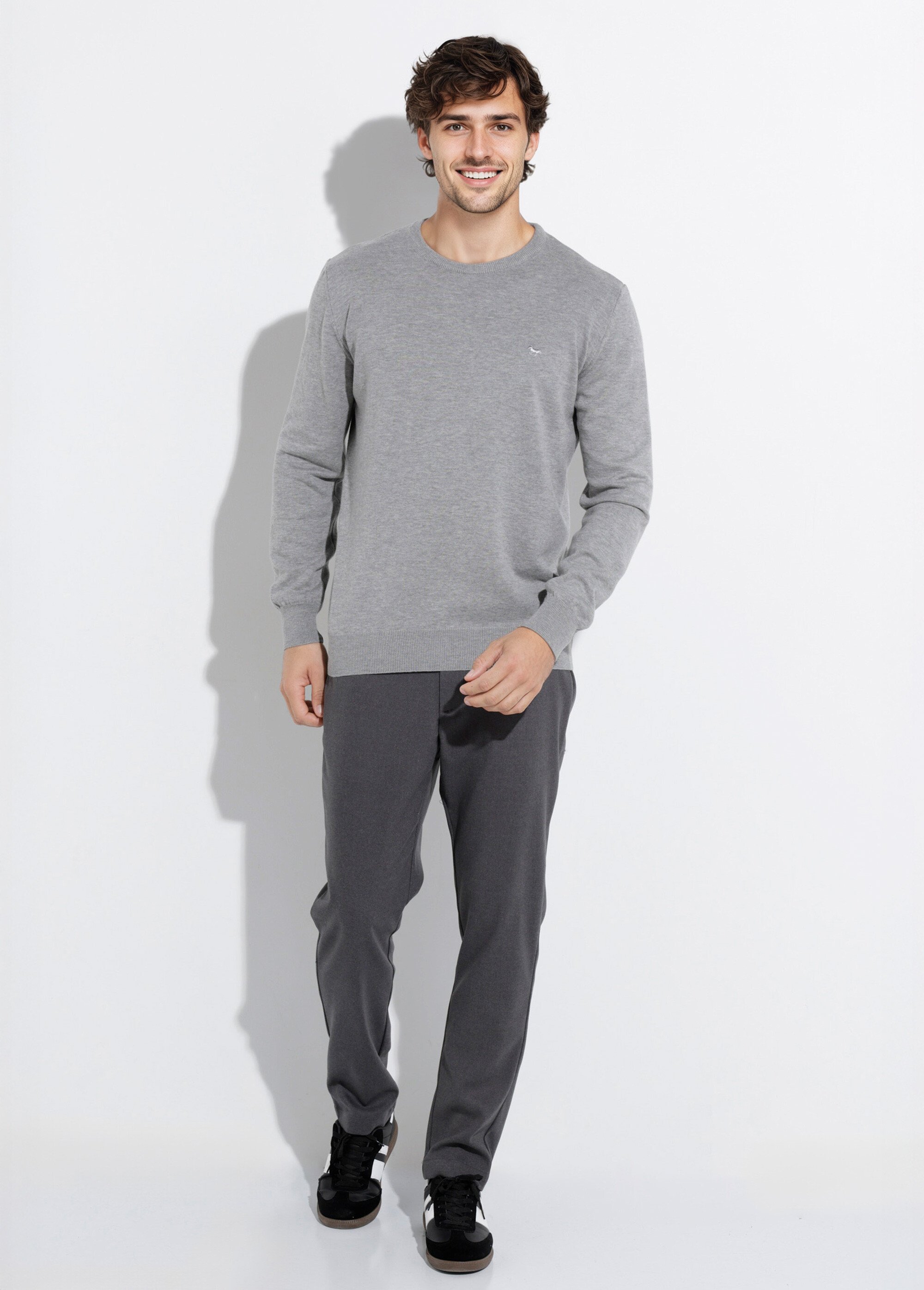 Pull fin coton, col rond manches longues Homme Gris STIO1002 SF1