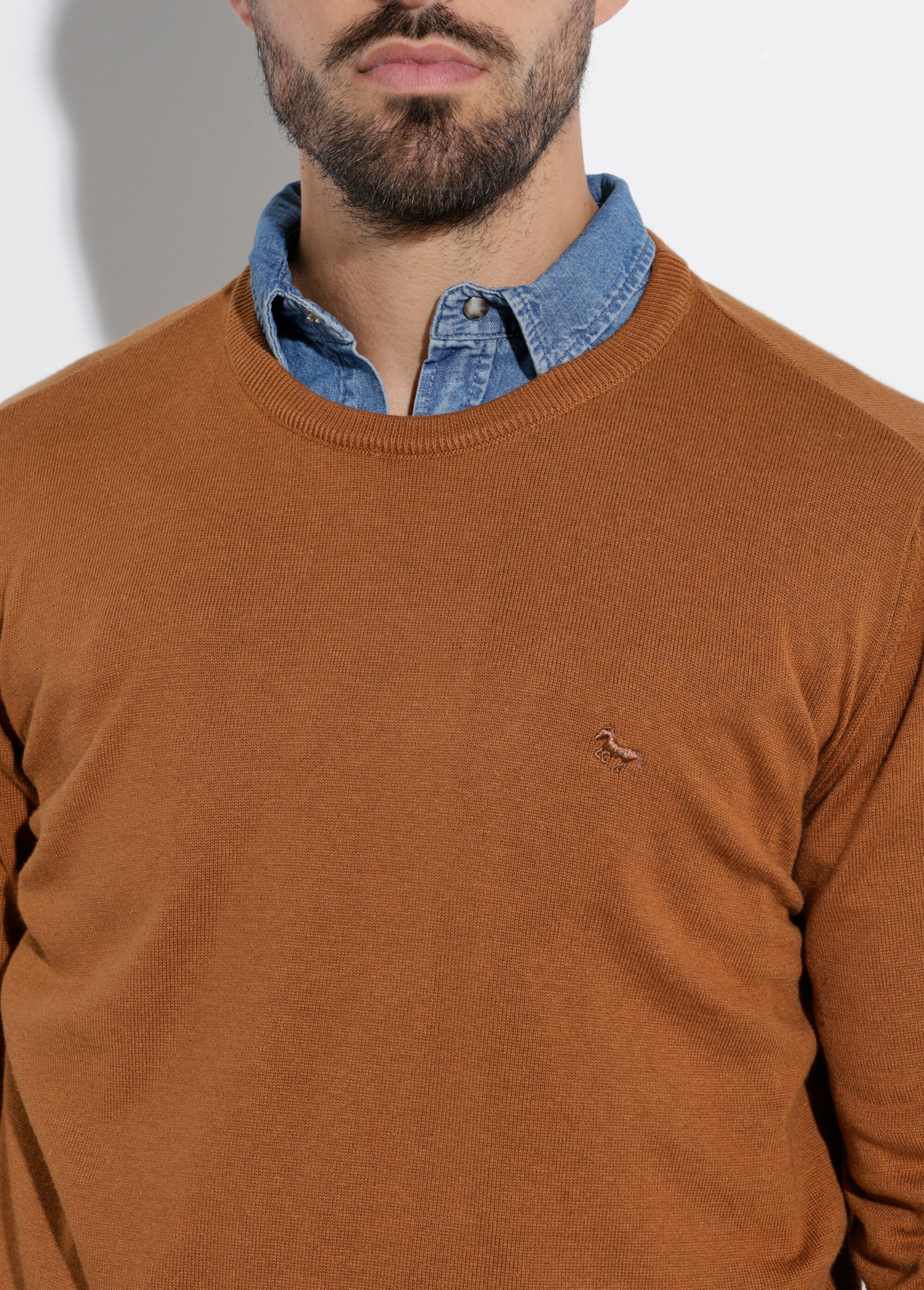 Pull fin coton, col rond manches longues Homme Marron STIO1002 DE1