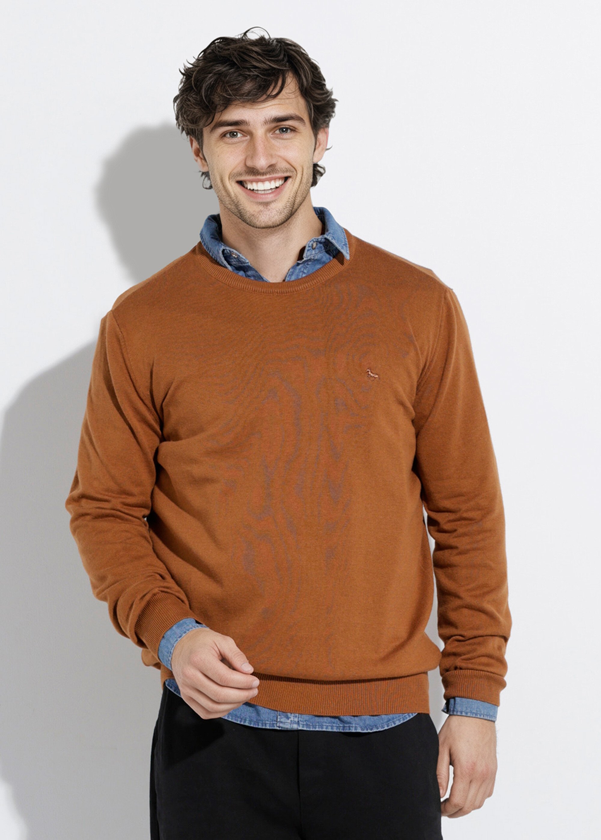 Pull fin coton, col rond manches longues Homme Marron STIO1002 FA1