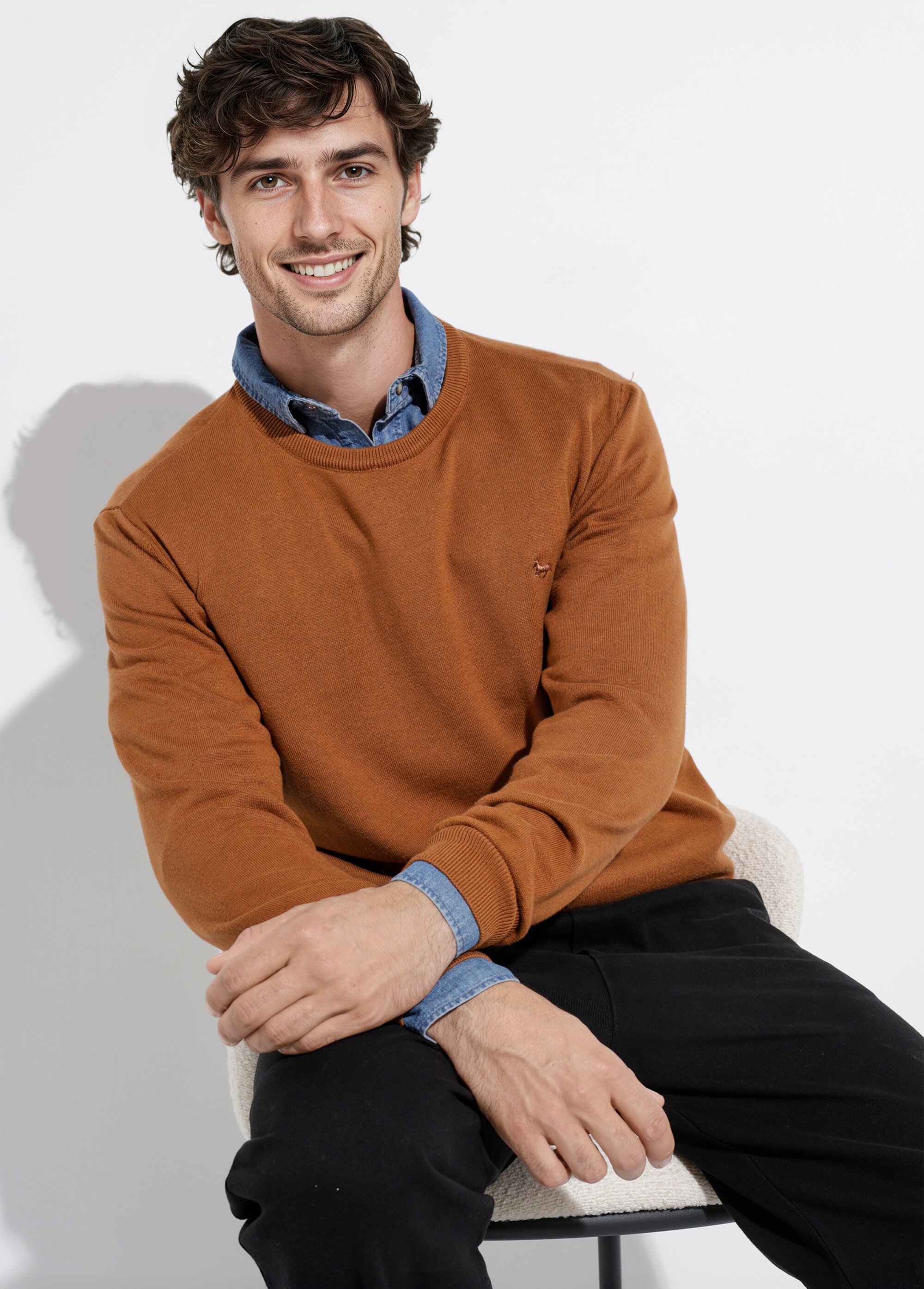 Pull fin coton, col rond manches longues