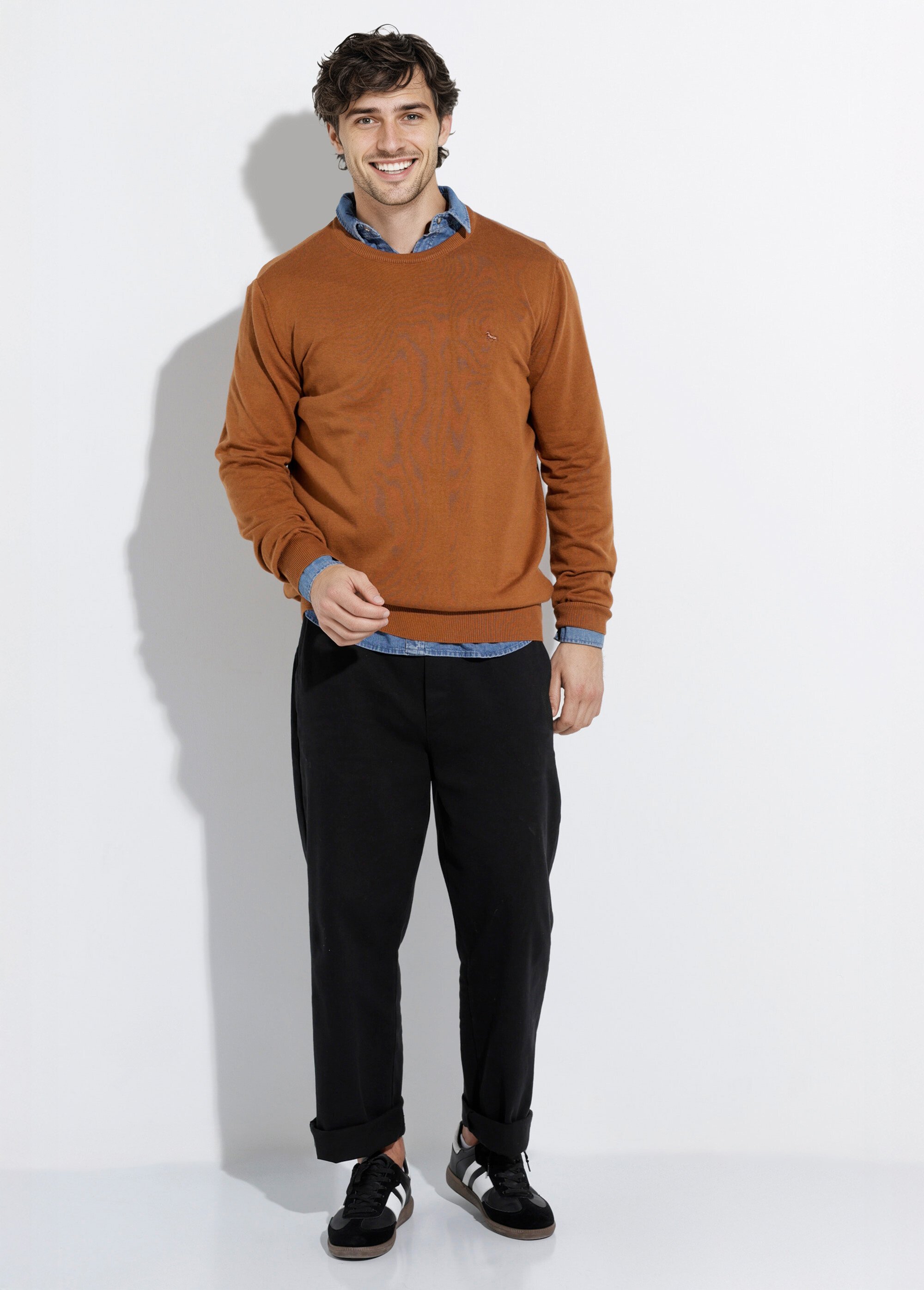 Pull fin coton, col rond manches longues Homme Marron STIO1002 SF1