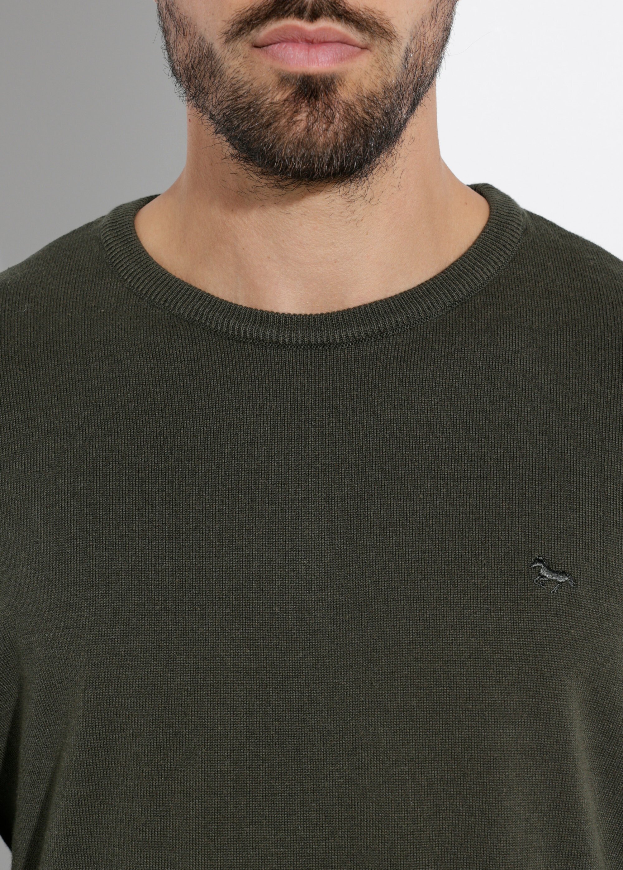 Pull fin coton, col rond manches longues Homme Vert STIO1002 DE1