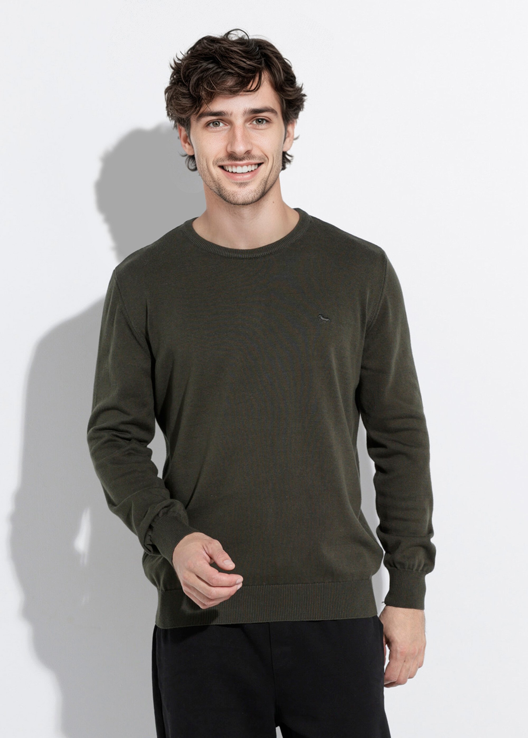 Pull fin coton, col rond manches longues Homme Vert STIO1002 FA1