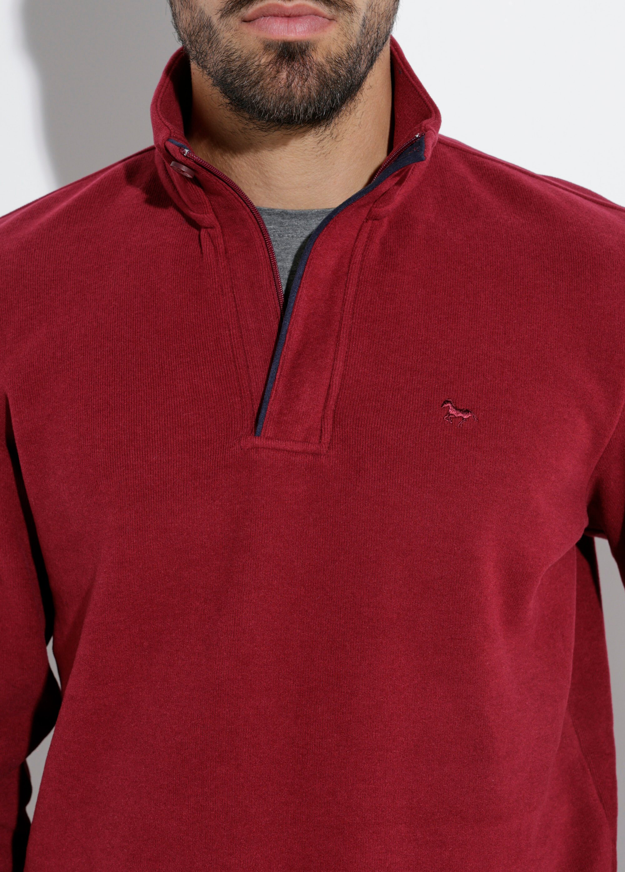 Pull épais jersey de coton, col zippé Homme Rouge STI22931 DE1